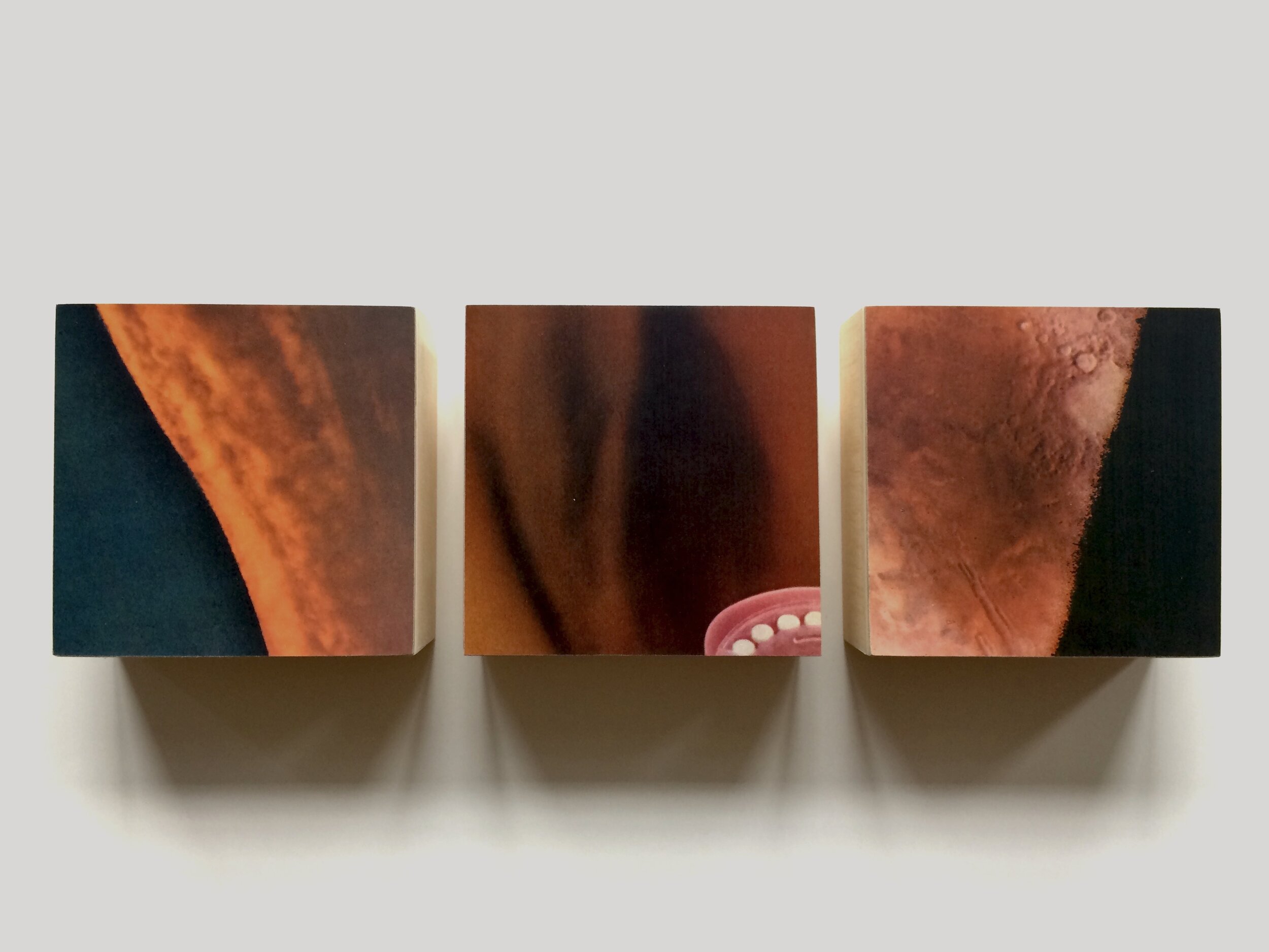 Triptych 51, 2020