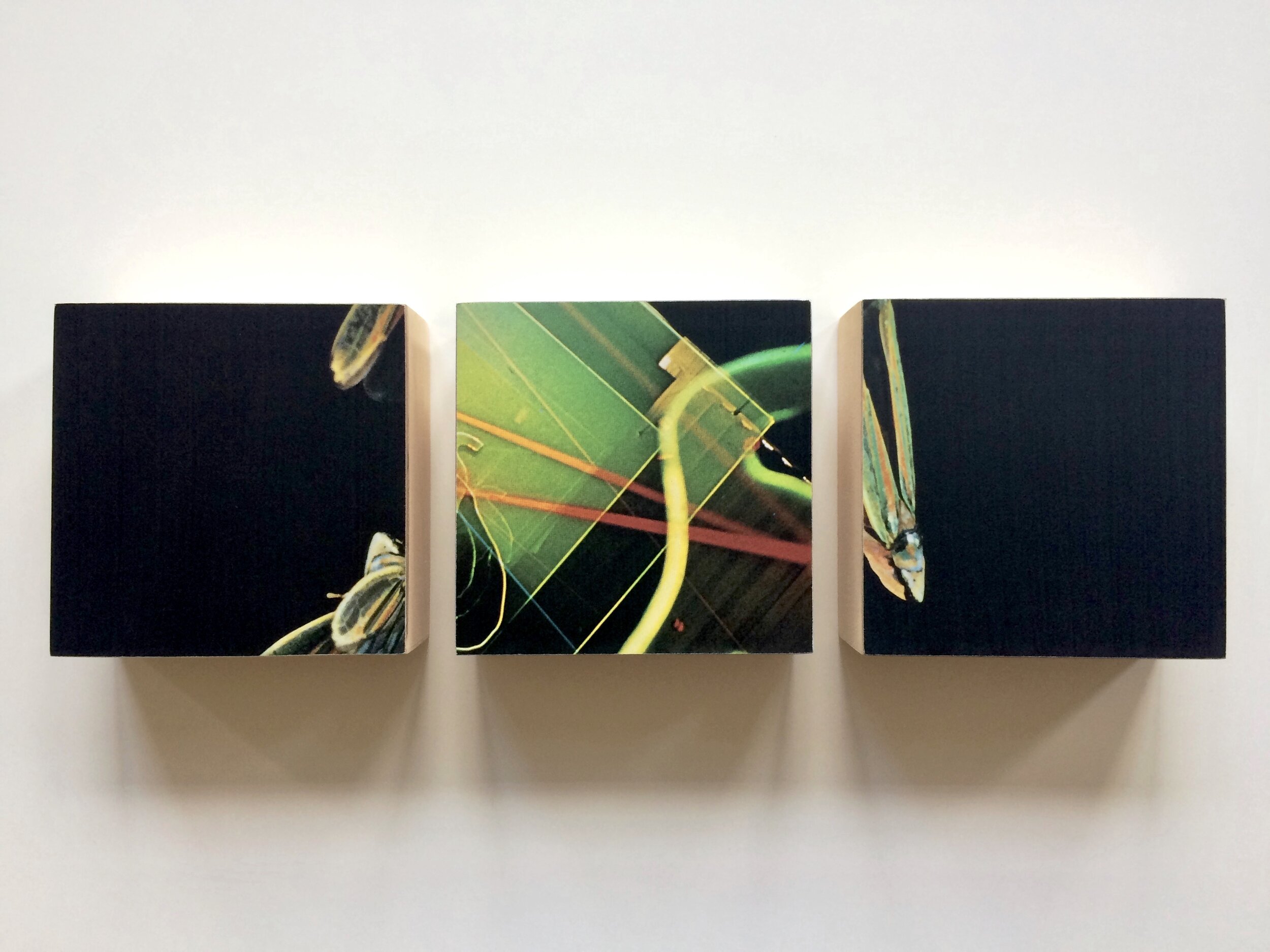 Triptych 45, 2020