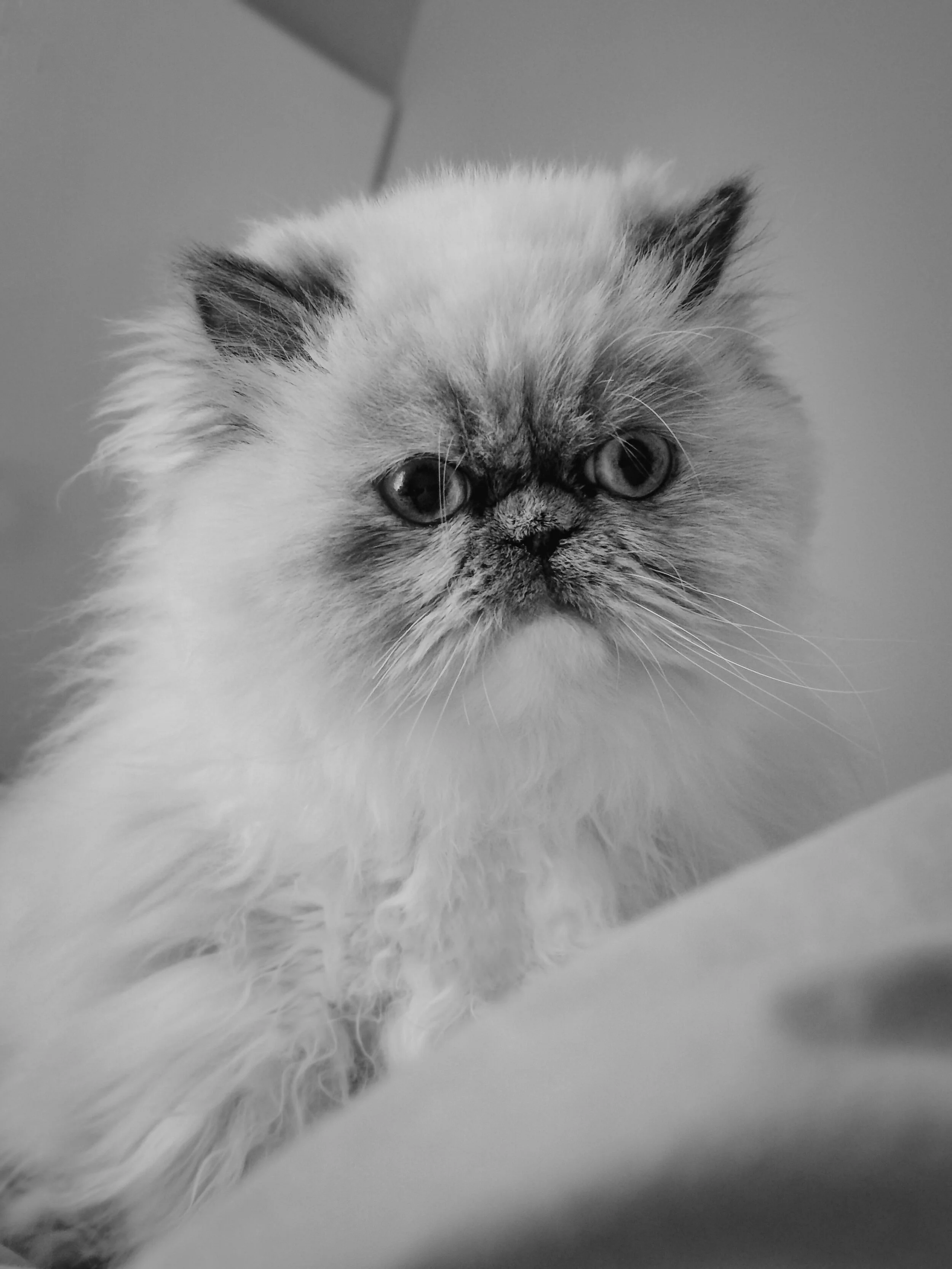 Chronic Illness and Confidence: 4 Reasons Why You Lose It (&amp; 2 Ways to Restore it)