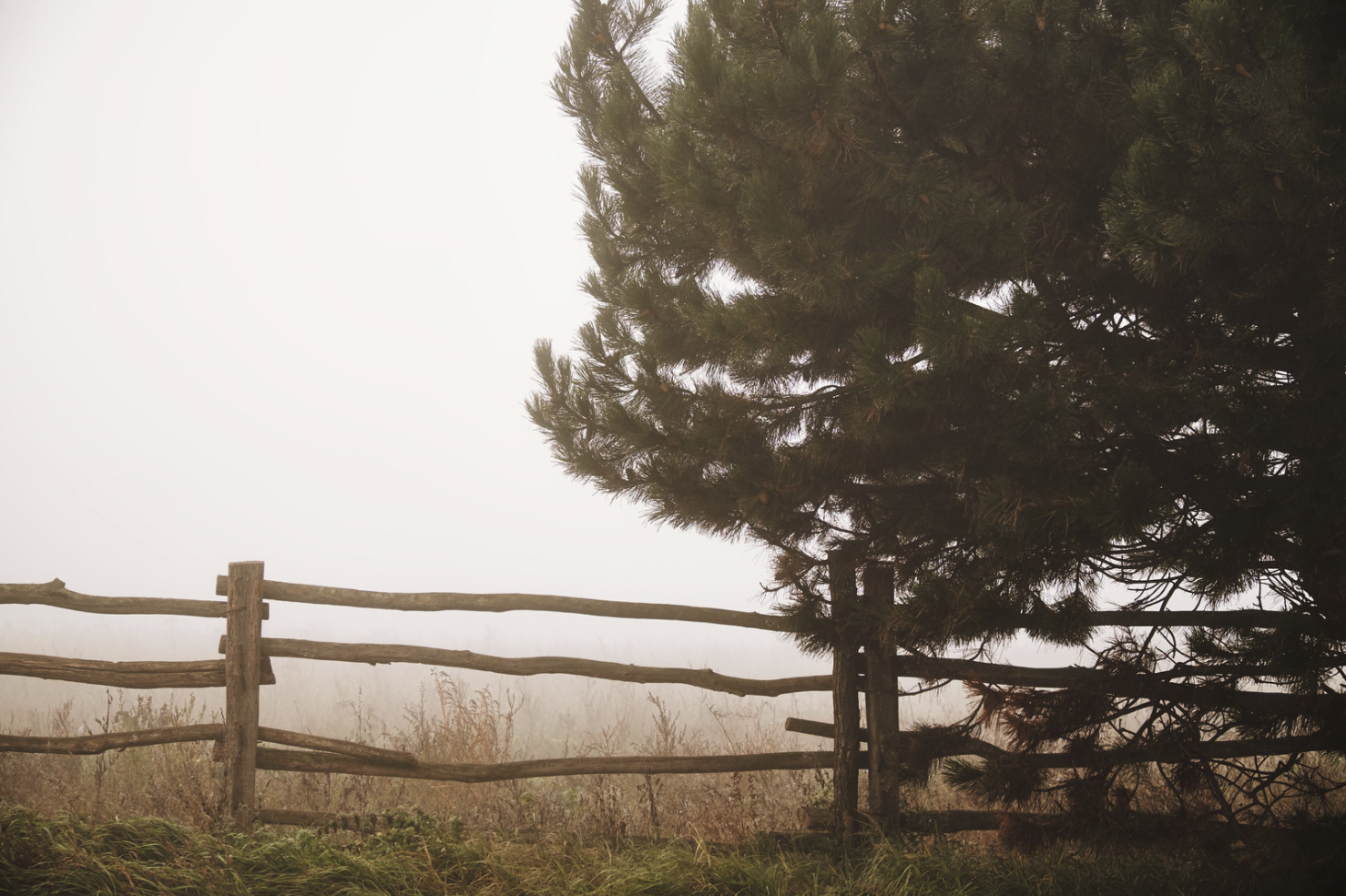 Escape to the Country – Chronic Pain and Rural Living