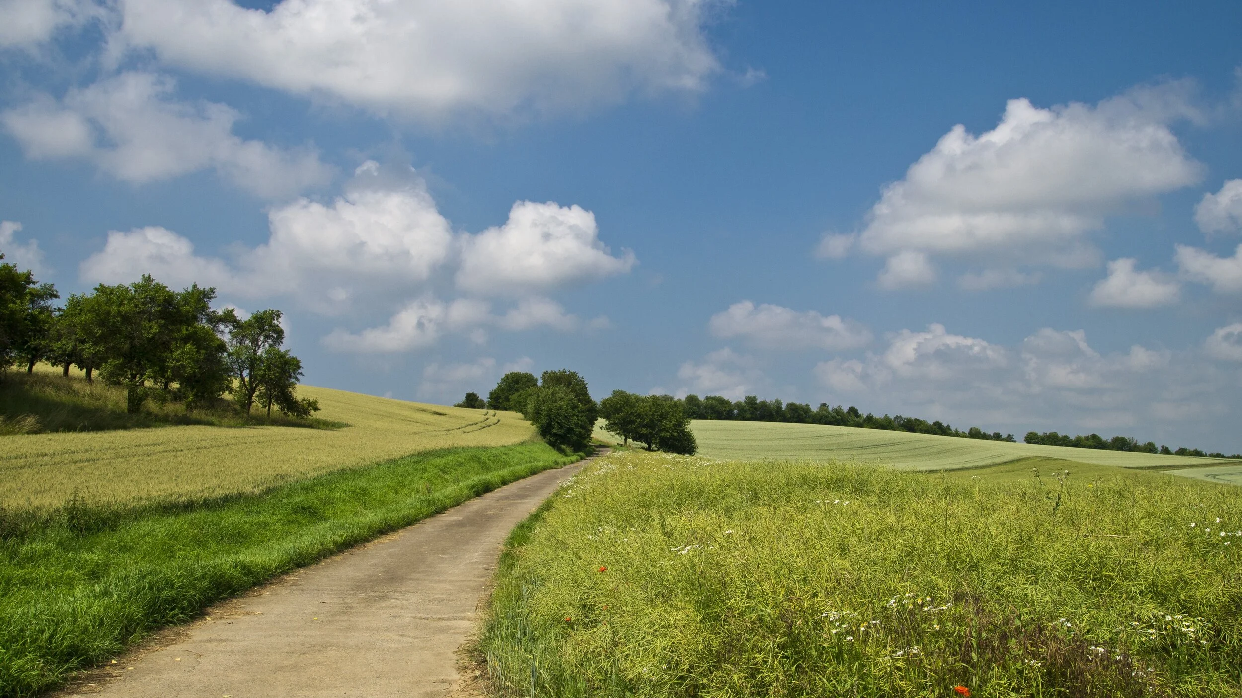 Escape to the Country – Chronic Pain and Rural Living 