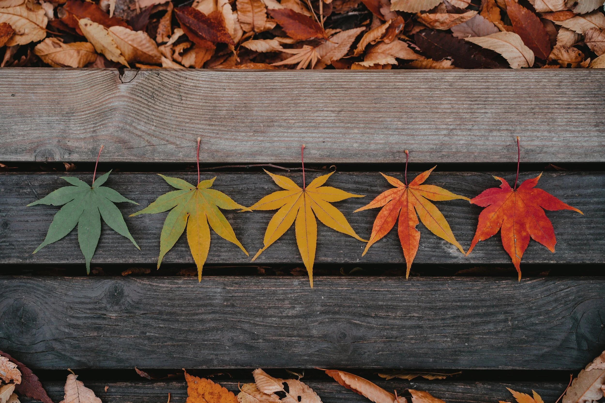 Do The Seasons affect Fibromyalgia?