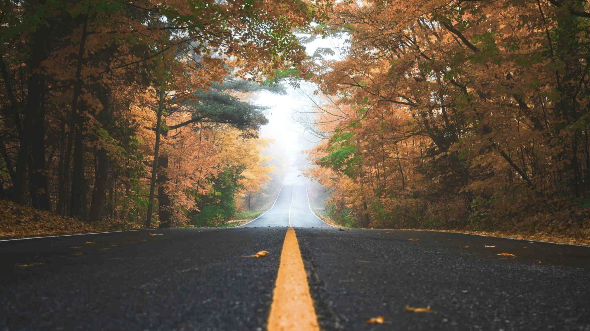The Fibromyalgia Road Map
