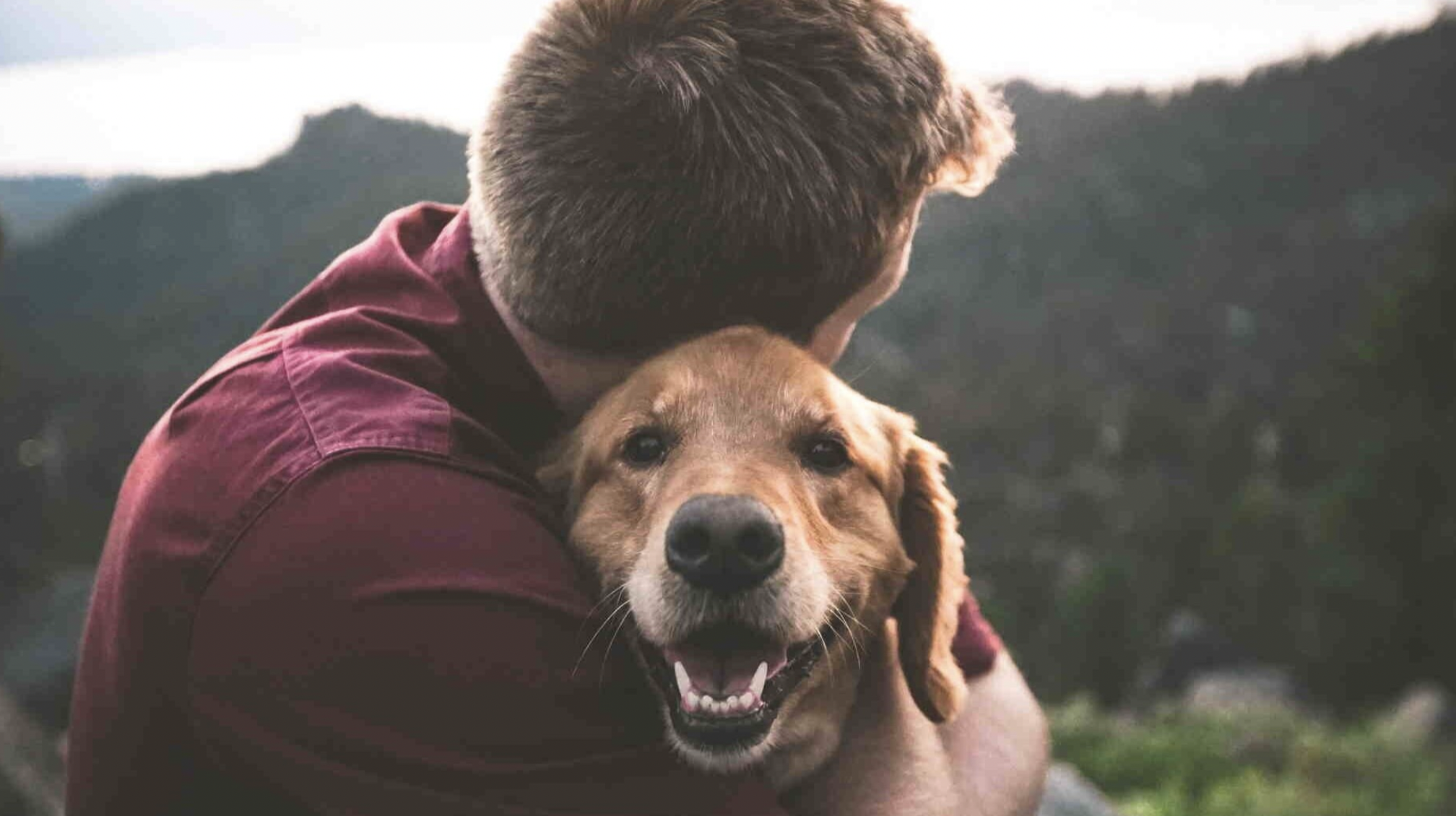 Therapy Dogs offer Fibromyalgia Management Option