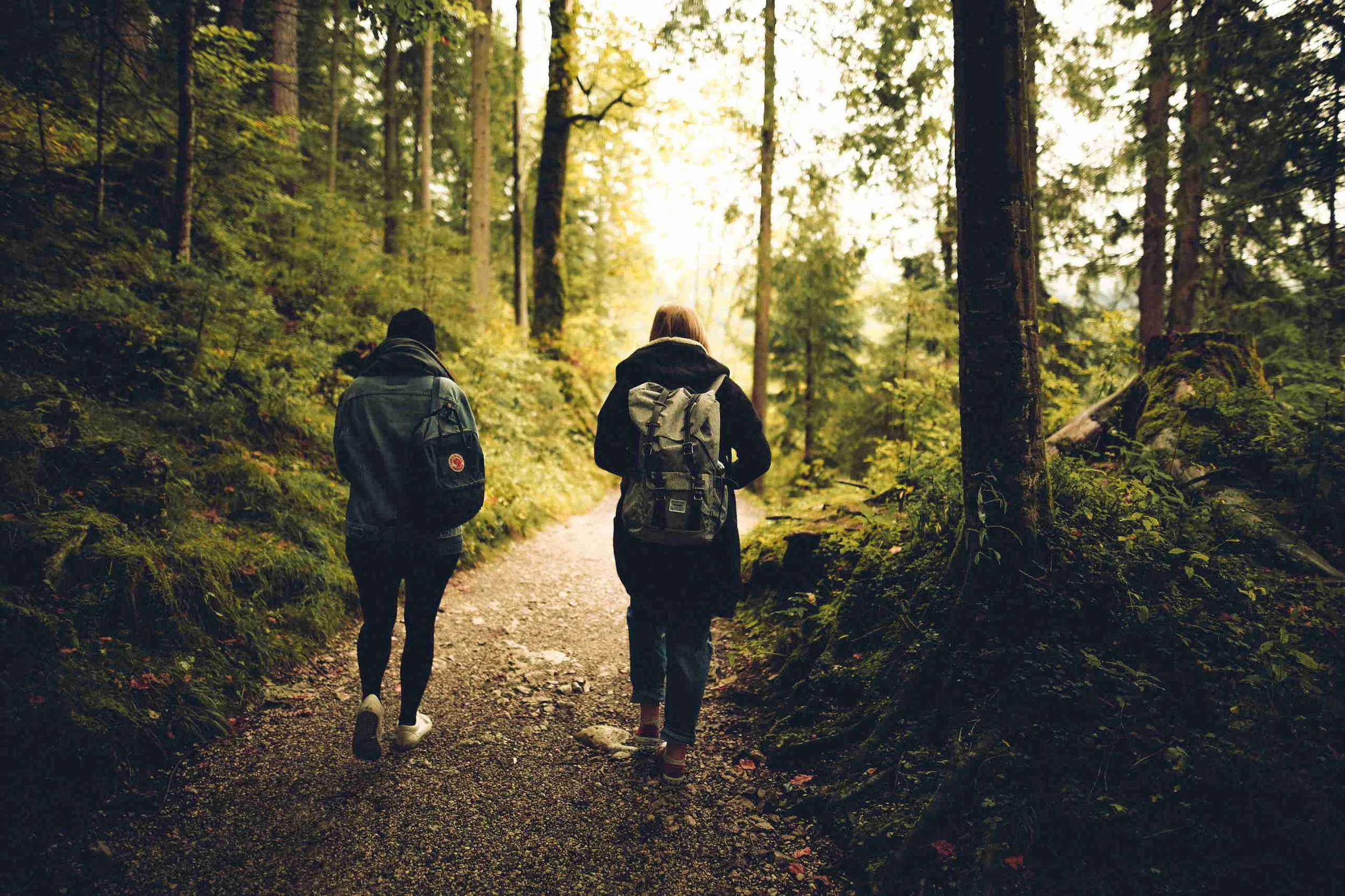 Fibro Active Diaries - February