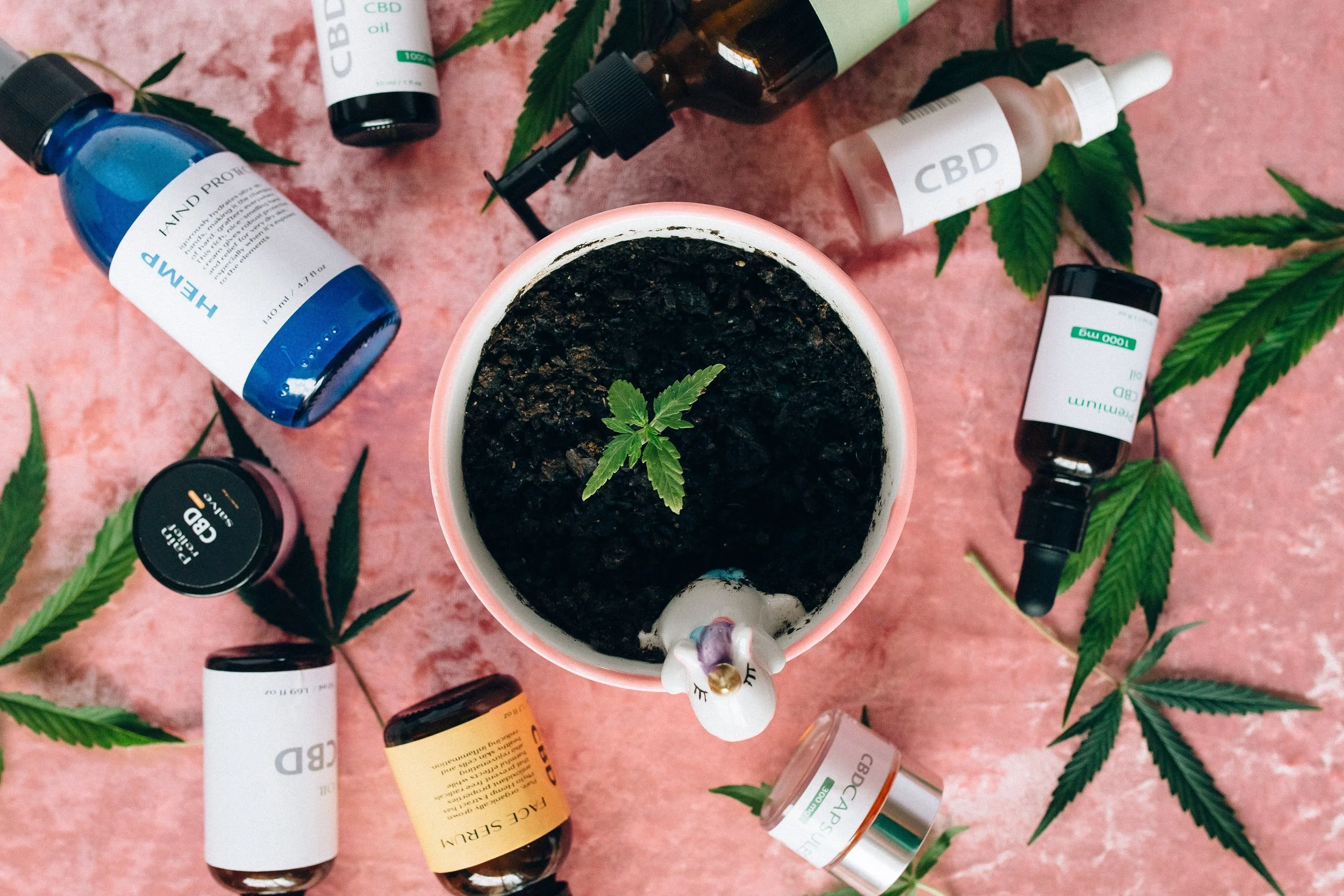 CBD for Fibromyalgia