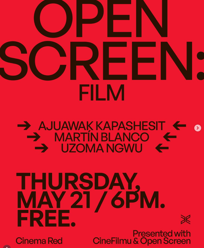 Public Functionary presents Open Screen Flim 