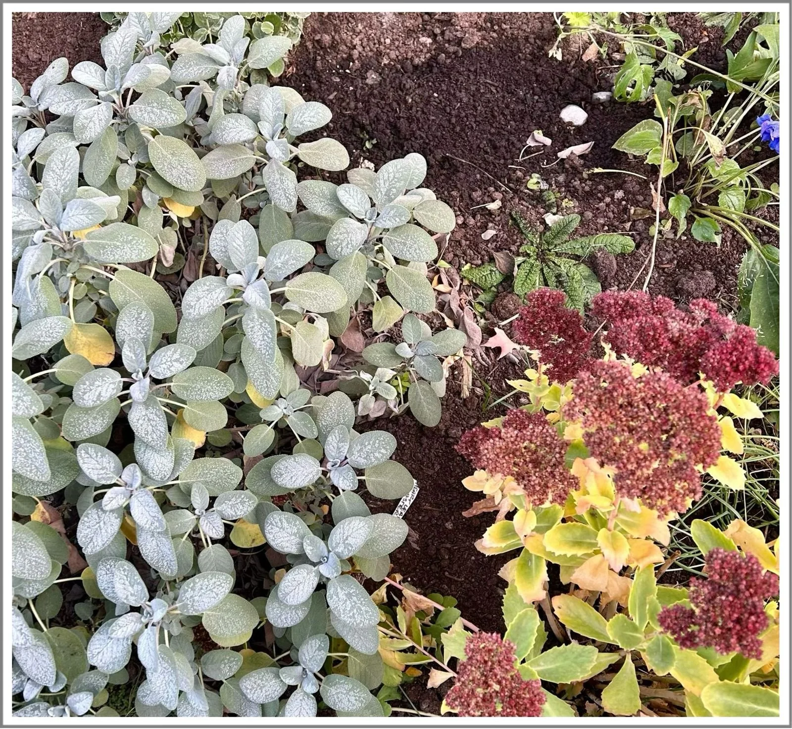 Michaelmas 2025 Seminary Newsletter 