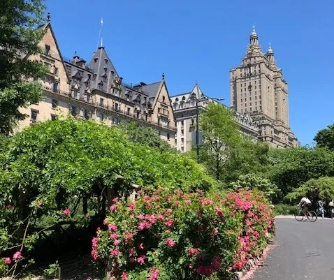 PLLC Formation in New York: Steps, Costs, and Filing Tips (2025