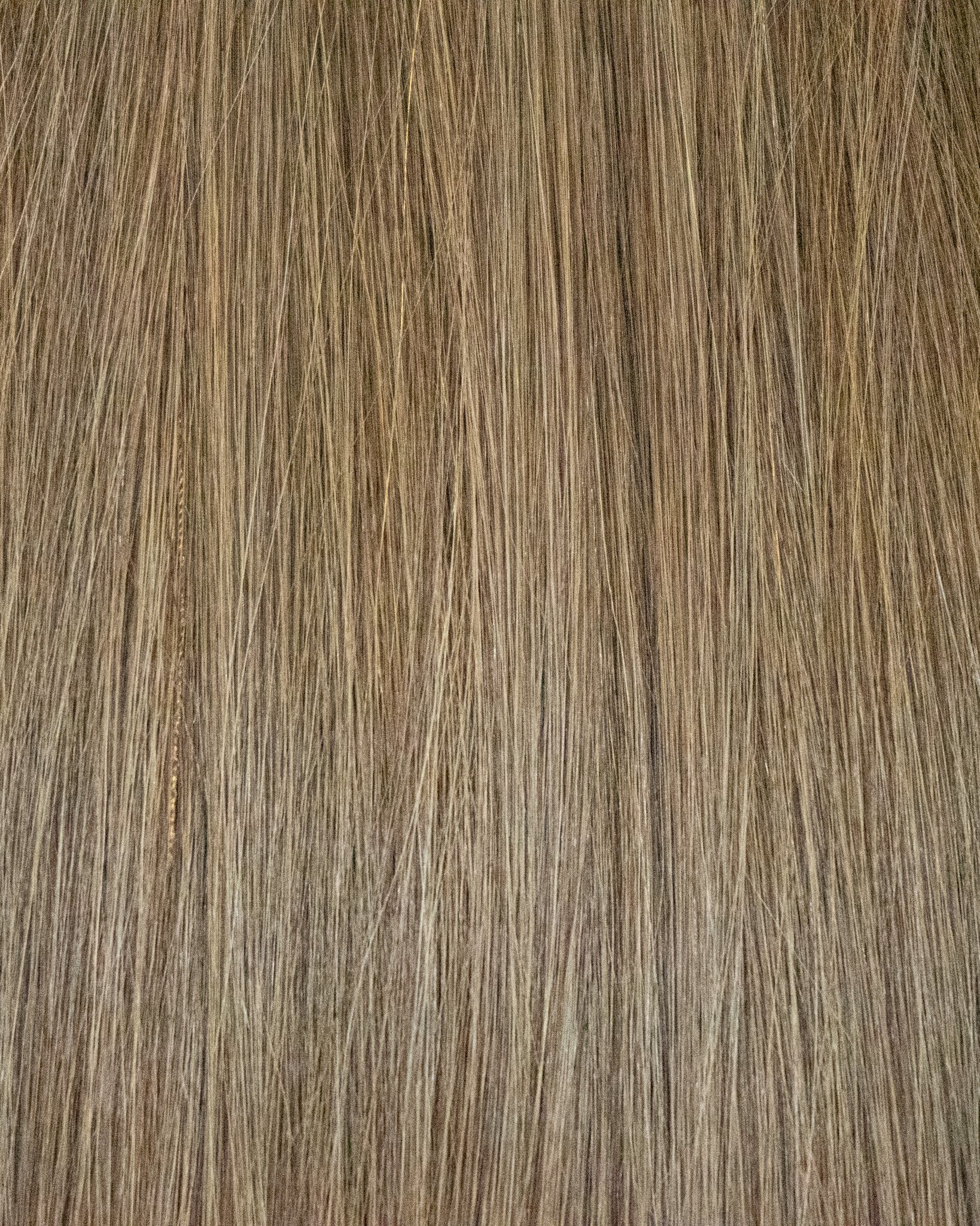 Color #6 - Cool Medium/Light Brown