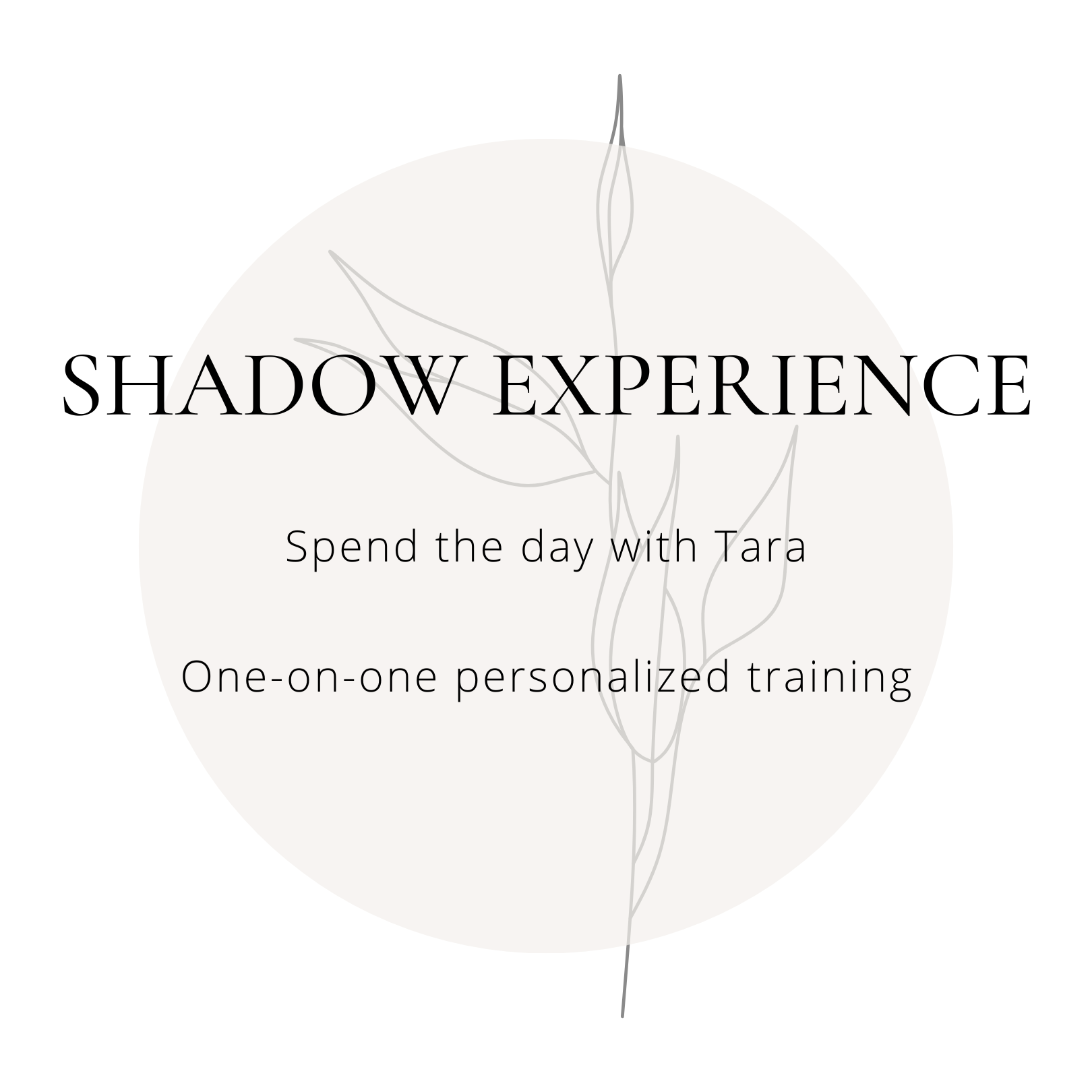 Trust and Mane Shadow Experience