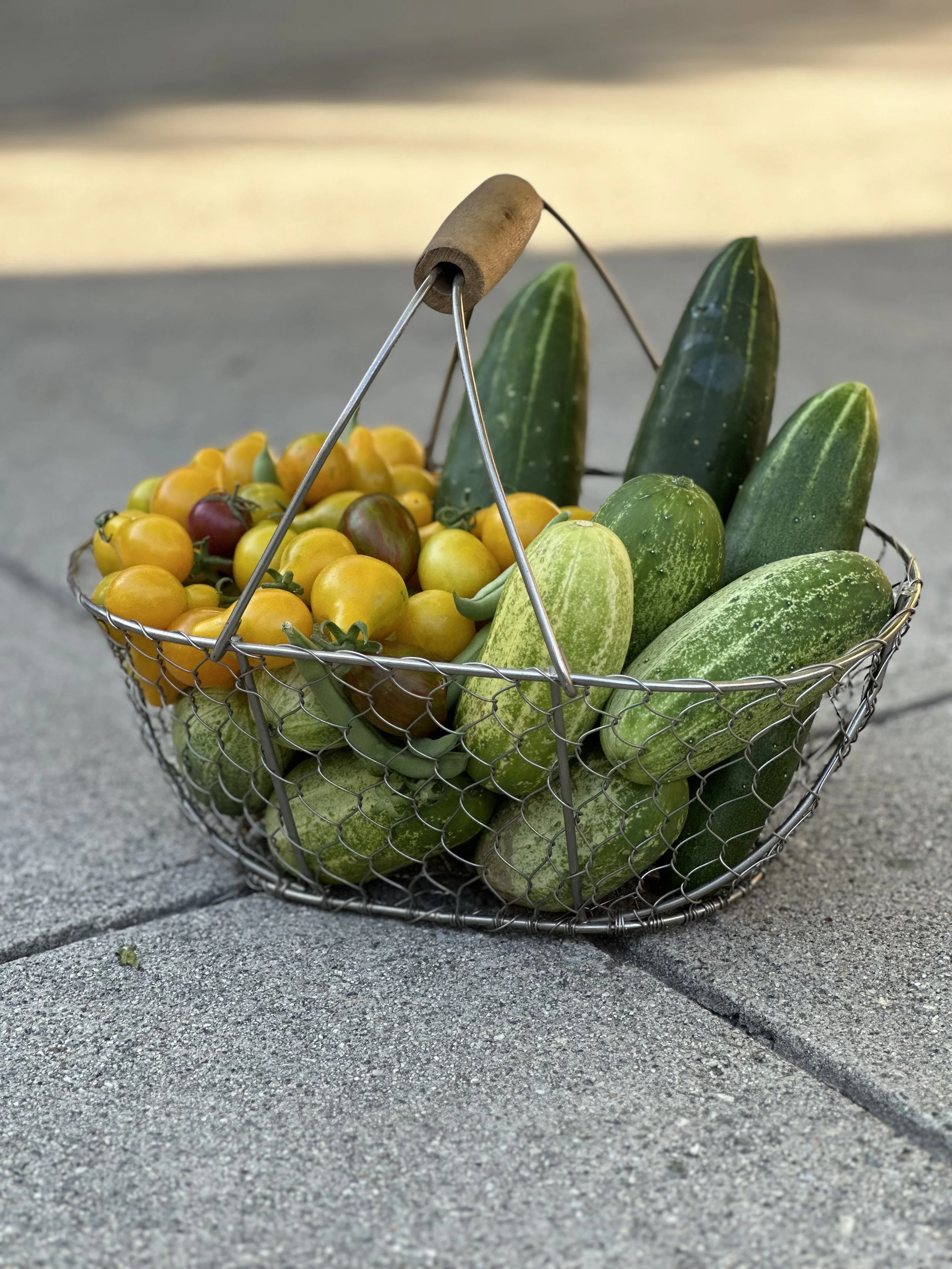 floracotta harvest basket.jpeg