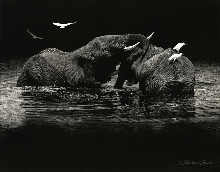 Harmony - 11" X 14"