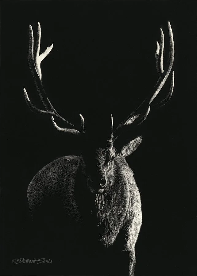 The Boss - 5" X 7"