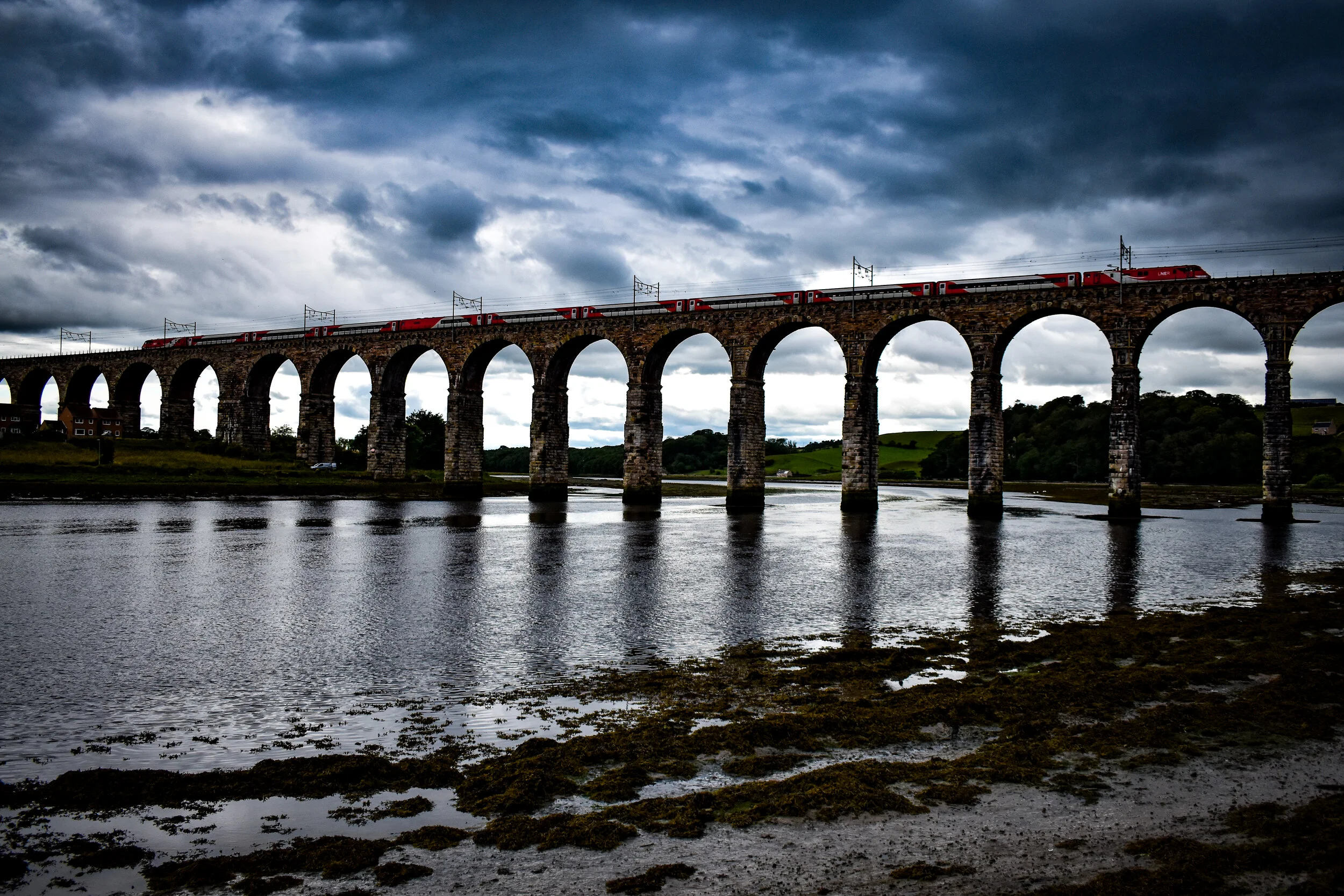 Berwick - 15-07-2020.jpg