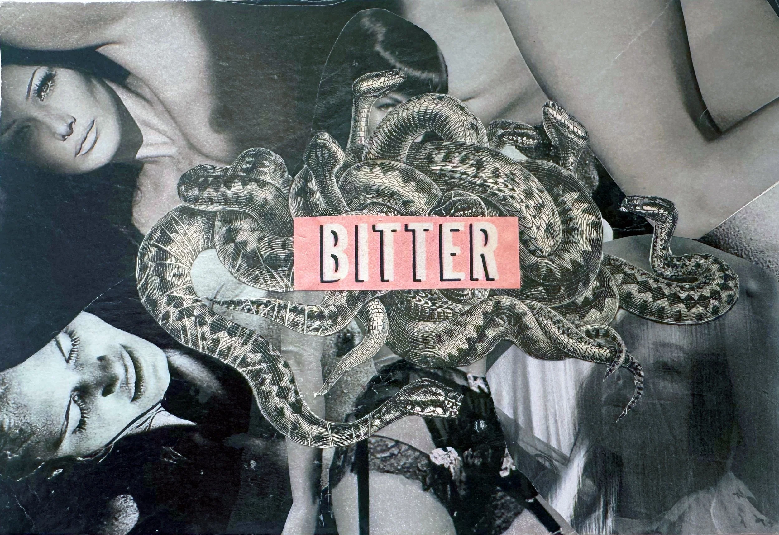 “Bitter”
2026