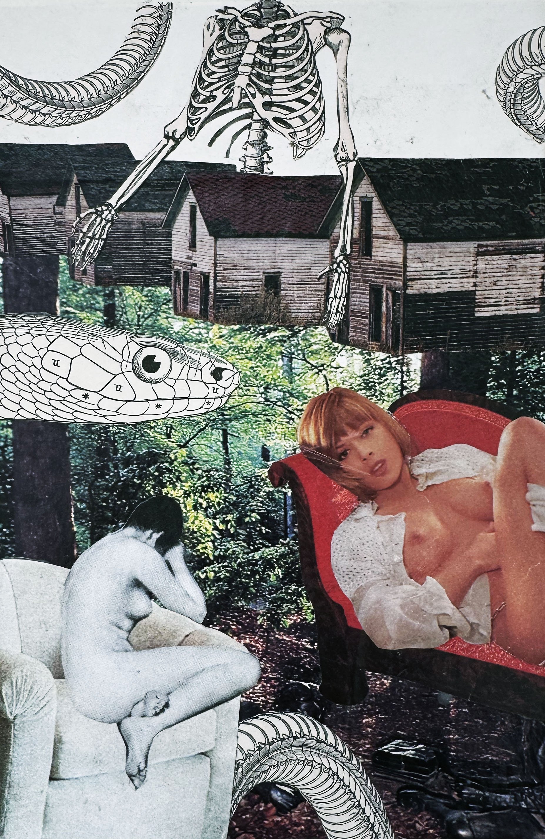 “Backyard Bones”
2026