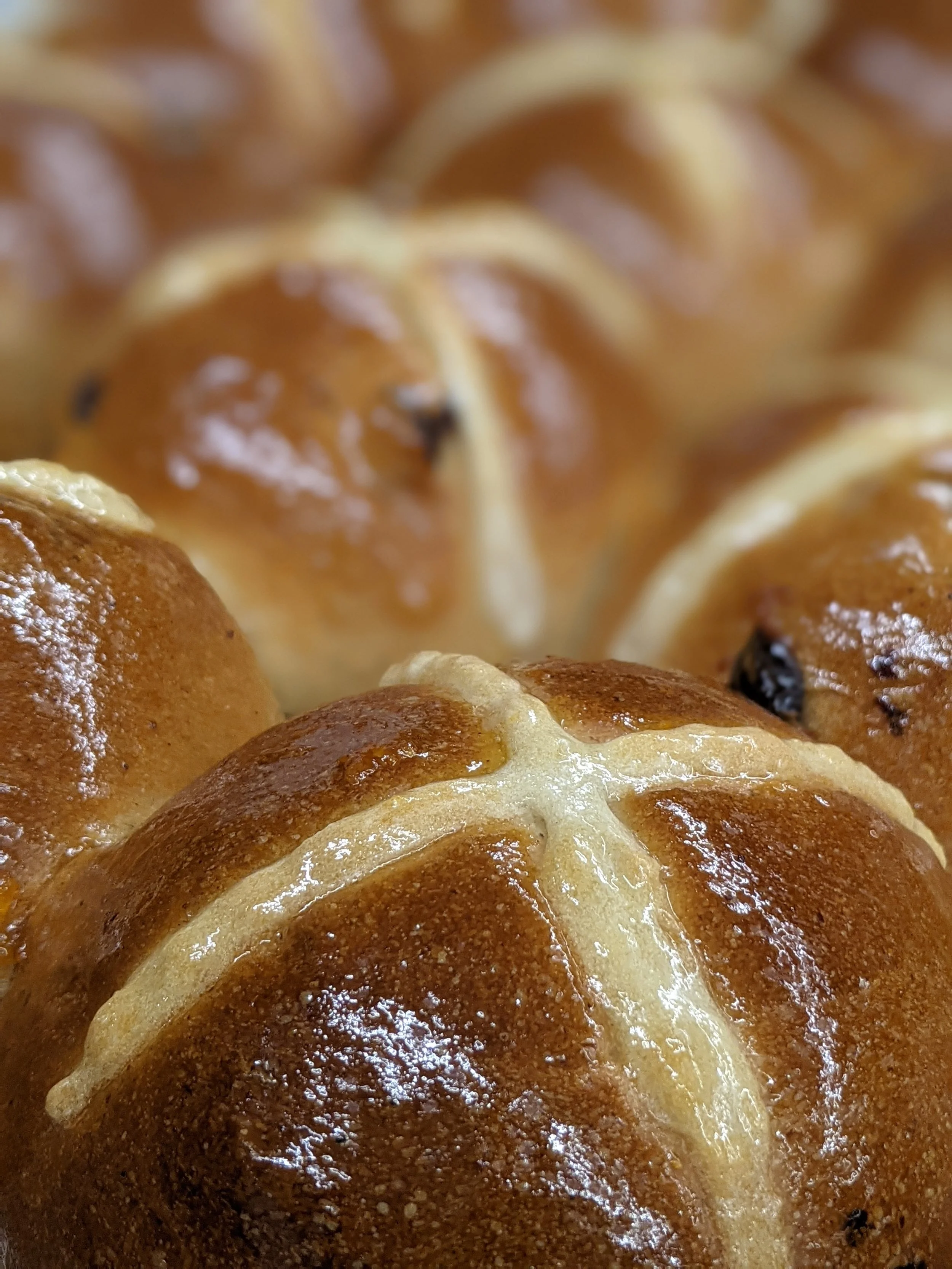 Hot Cross Buns 6-Pack