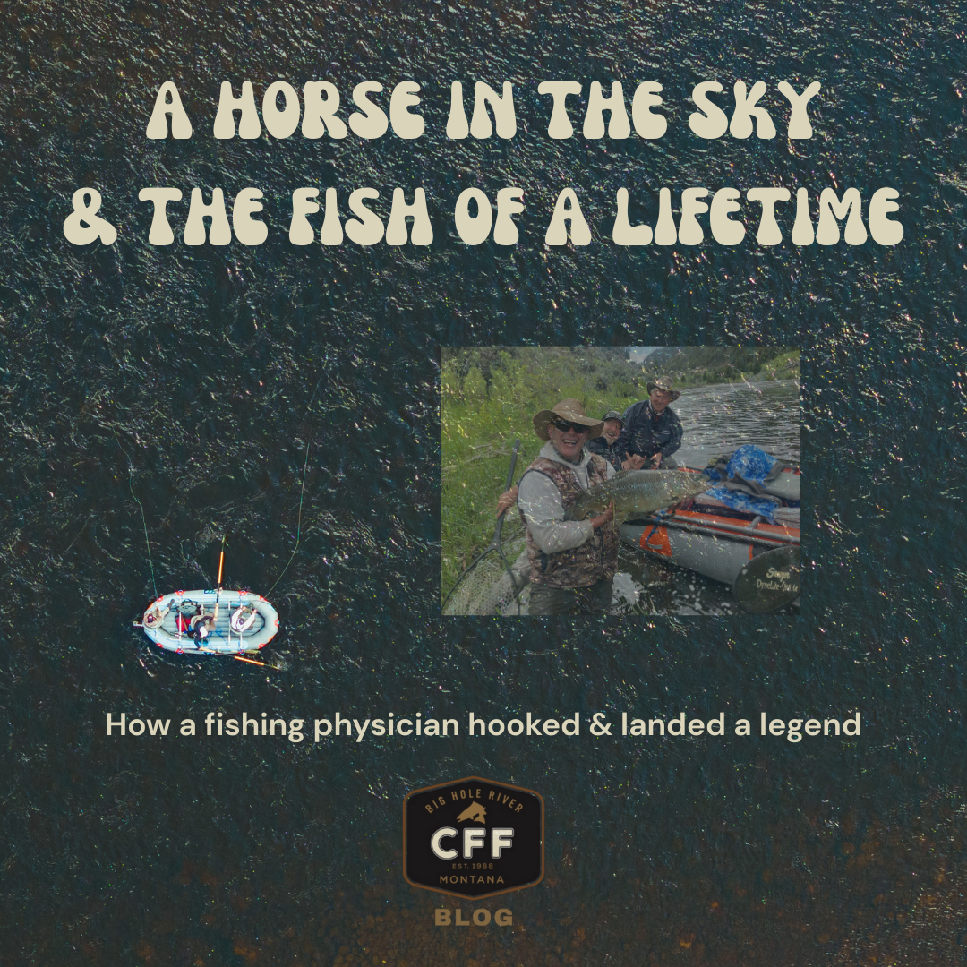 A Horse in the Sky and the Fish of a Lifetime.