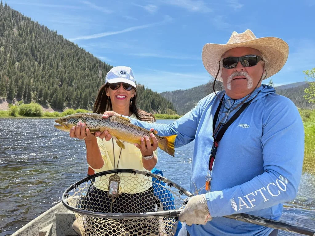 This beautiful 22 inch brown was just landed on the upper Big Hole... it's dry fly season!