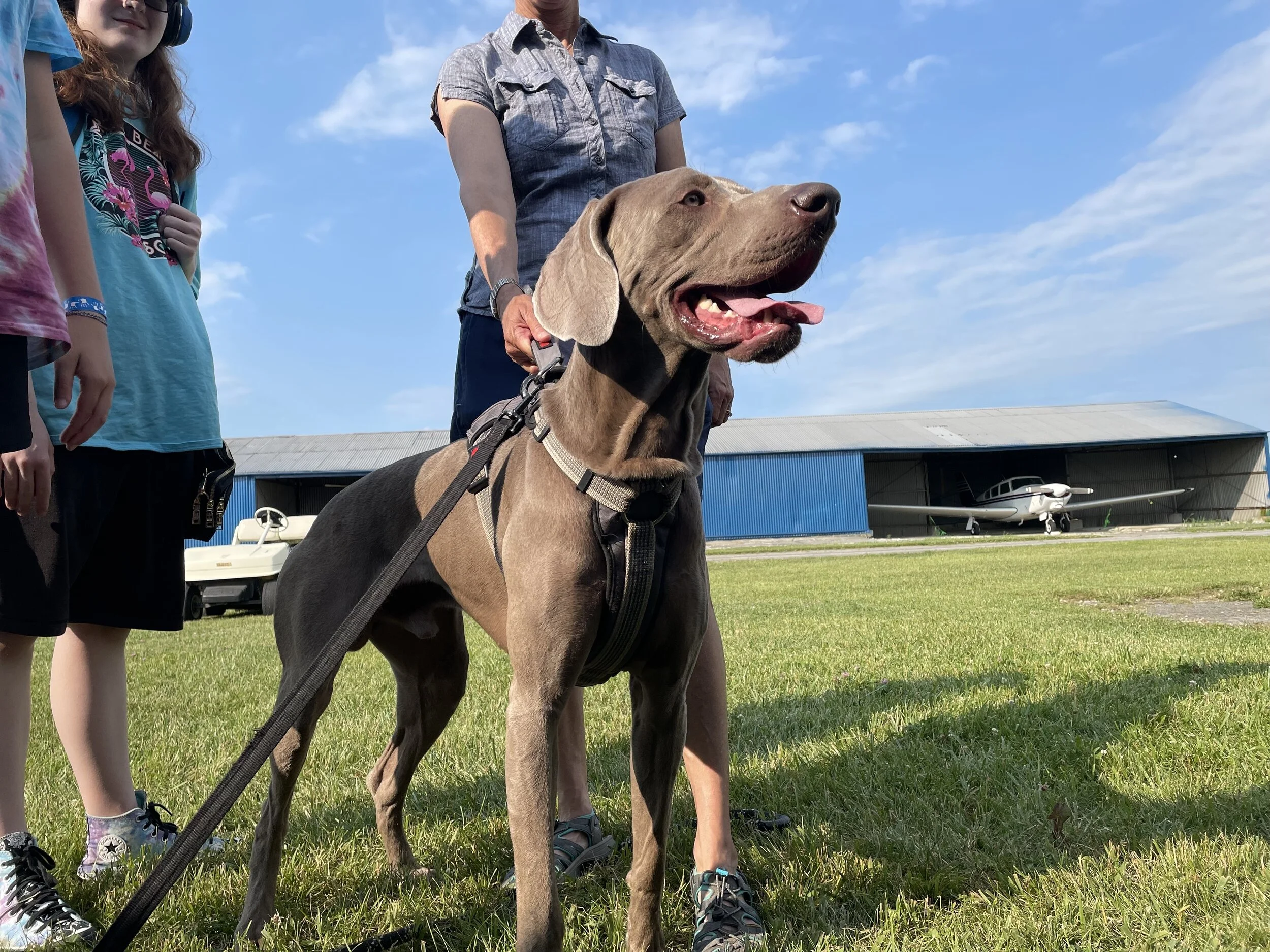 Saturday, July 3rd 2021