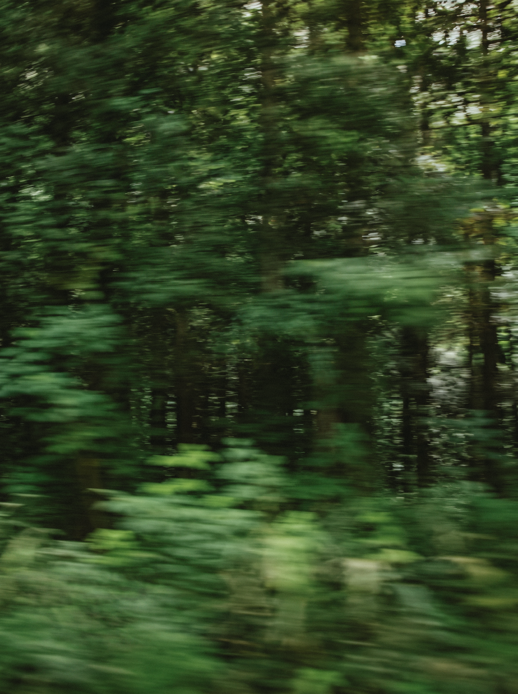 Image 8C.png