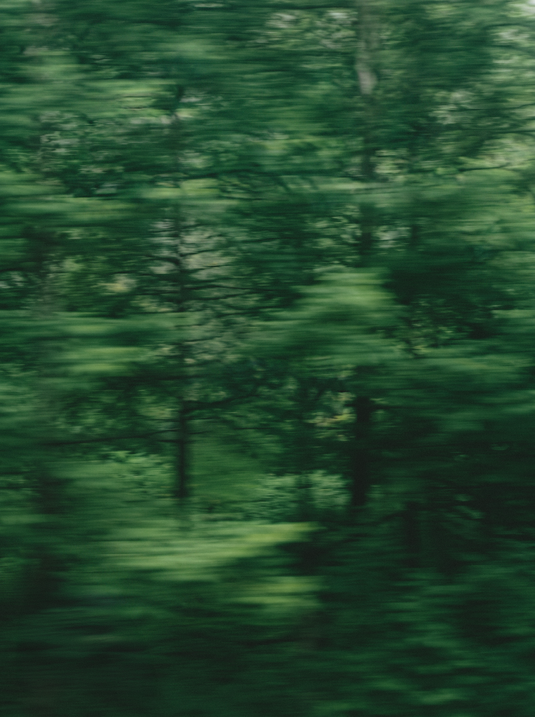  (ARC-001)  
 Memories Between Trees 