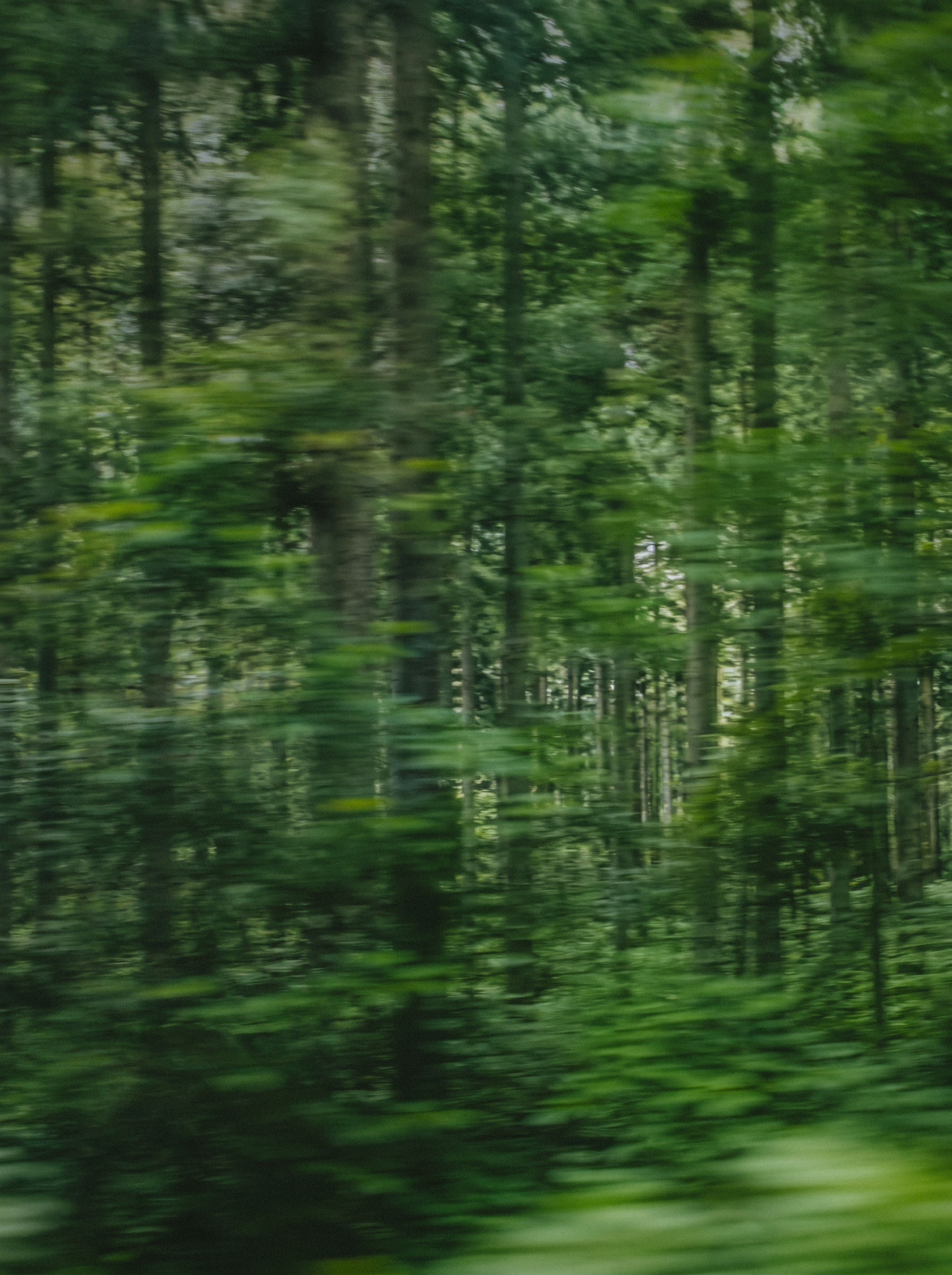Image 11B.png