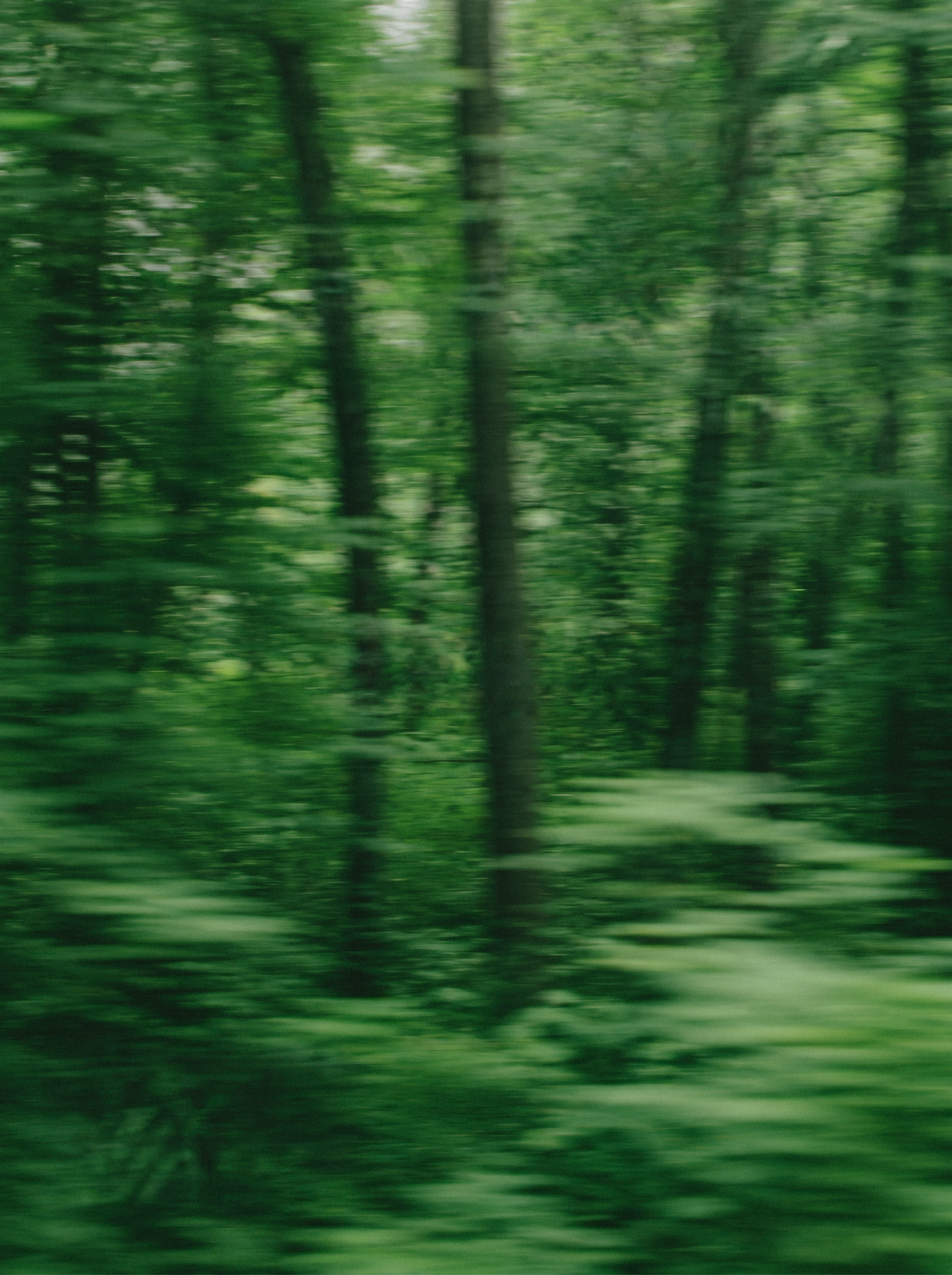 Image 30B.png