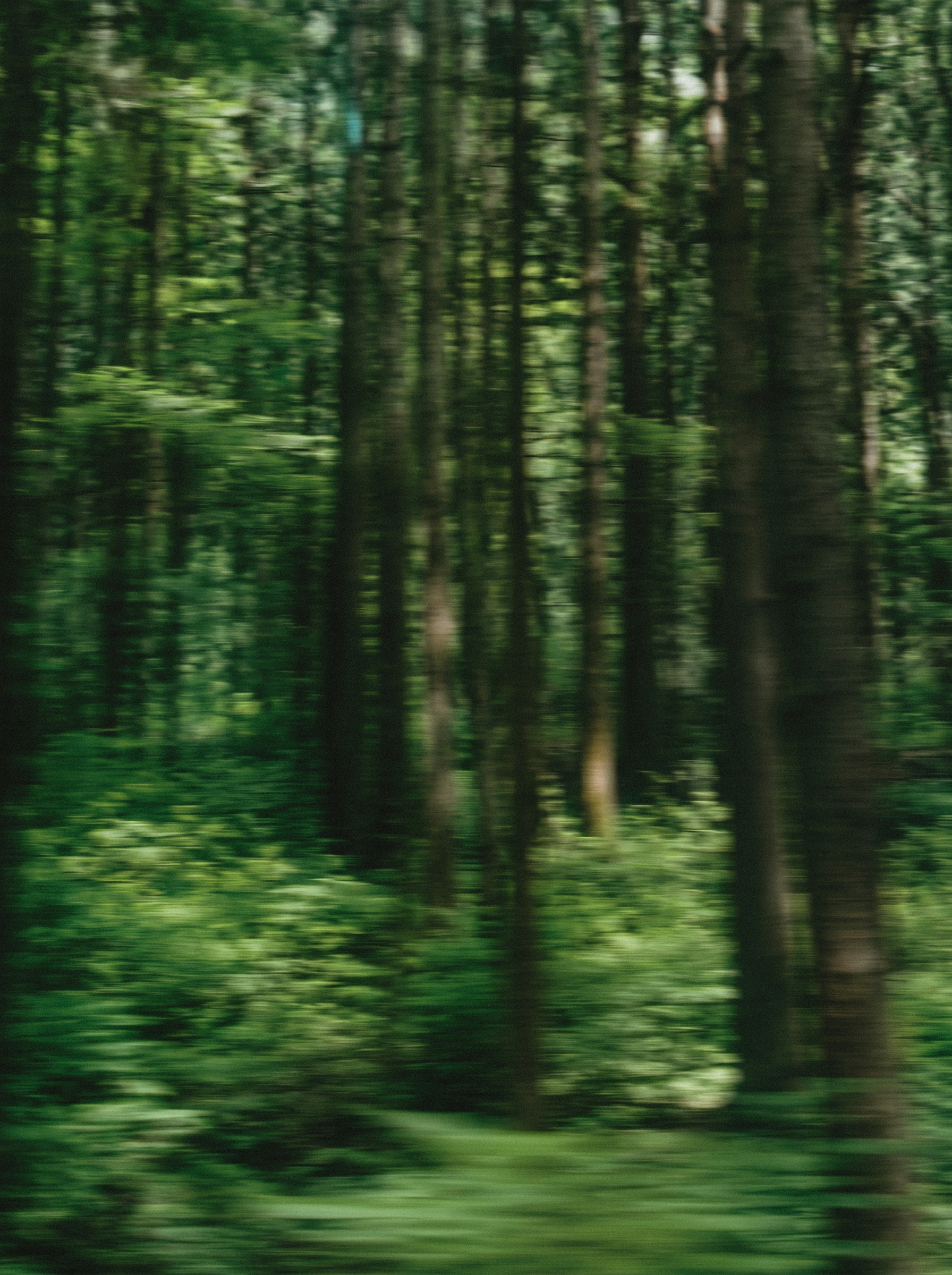Image 10B.png