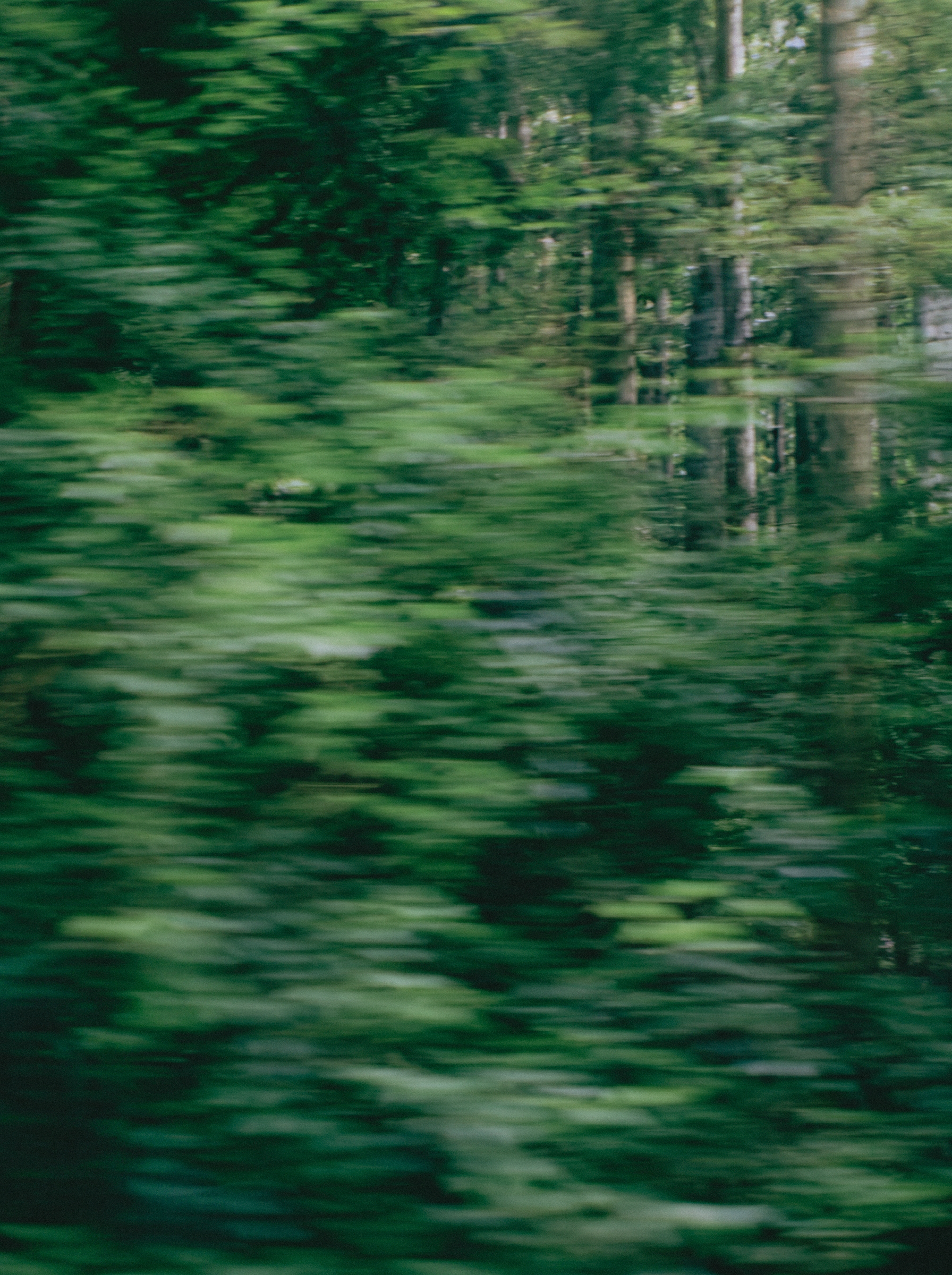 Image 29B.png