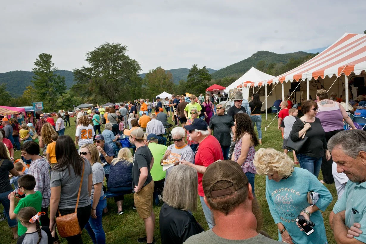 Festival Information — Louie Bluie Music & Arts Festival