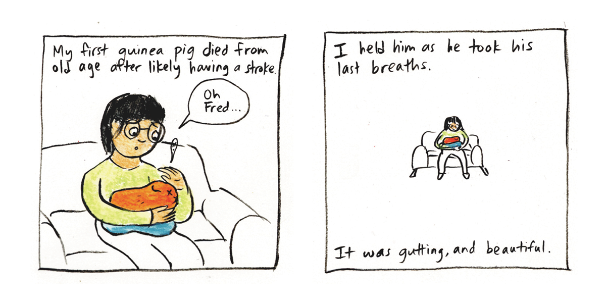 Come Sit Stay_DIGITAL8.png