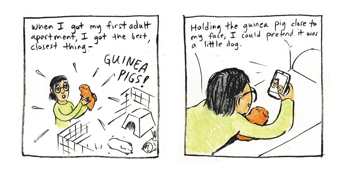 Come Sit Stay_DIGITAL6.png