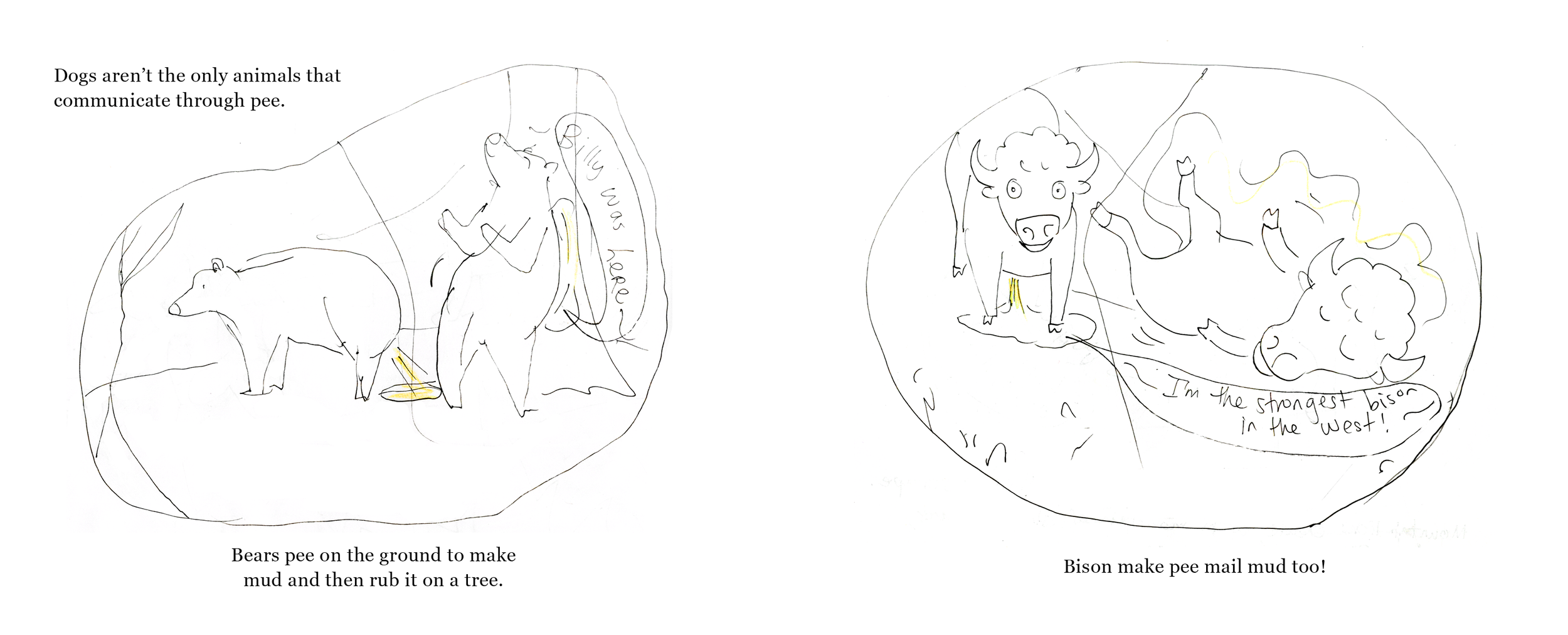 Time for Pee Mail Layout5.png
