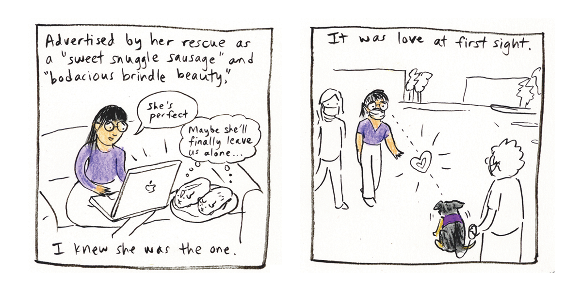 Come Sit Stay_DIGITAL13.png