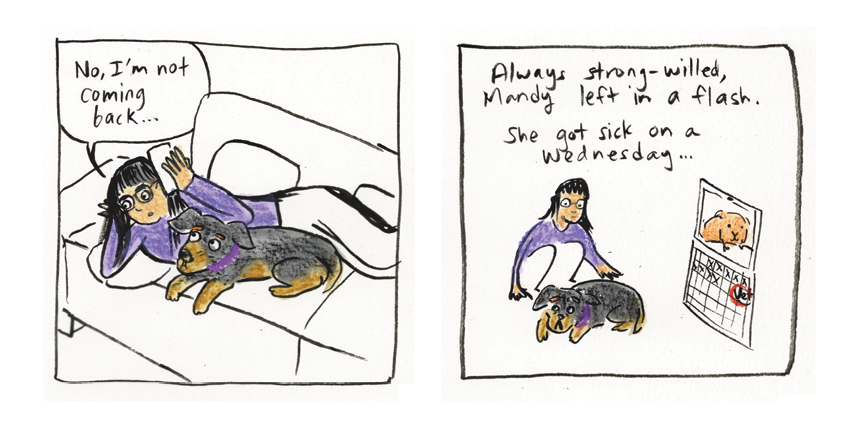 Come Sit Stay_DIGITAL17.png