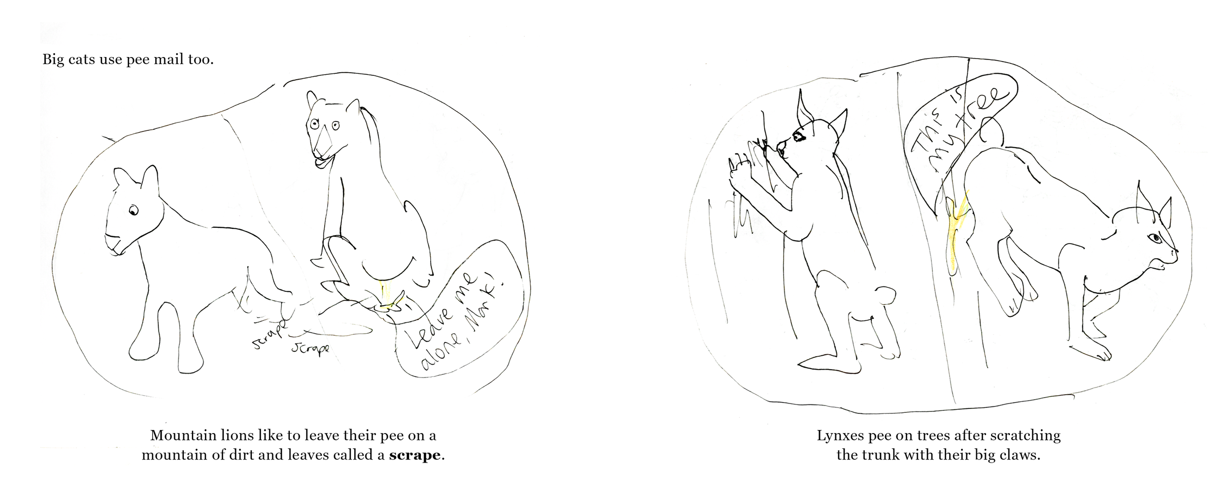 Time for Pee Mail Layout6.png
