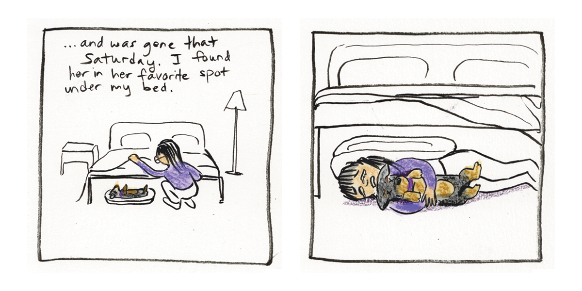 Come Sit Stay_DIGITAL18.png