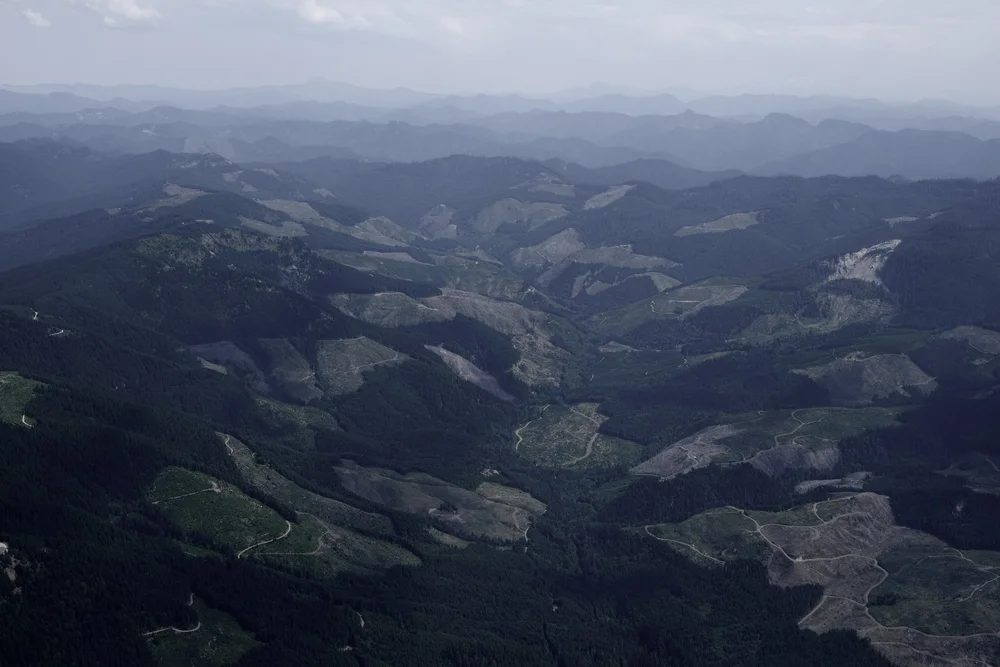 deforestation-near-eugene-oregon-blake-robertshaw.JPG