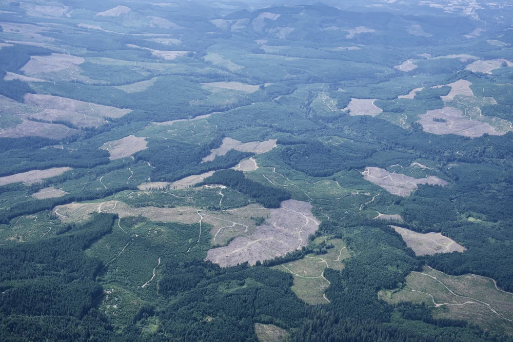 oregon-deforestation-aerial-view-blake-robertshaw.JPG