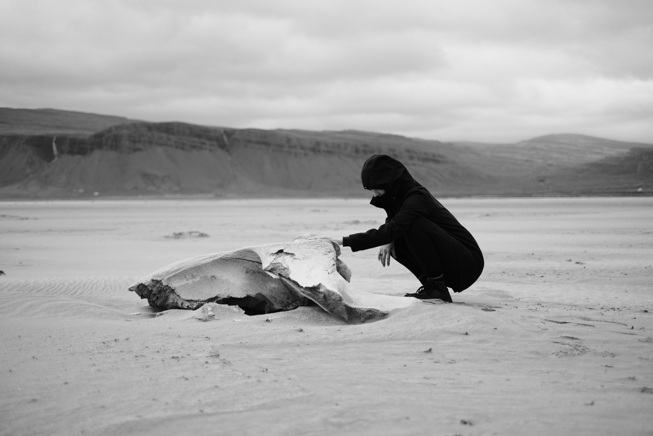 A woman dressed in dark clothing crouching on sandy beach in Iceland playing her hand on a whale skull, with mountains and cloudy sky in the background.