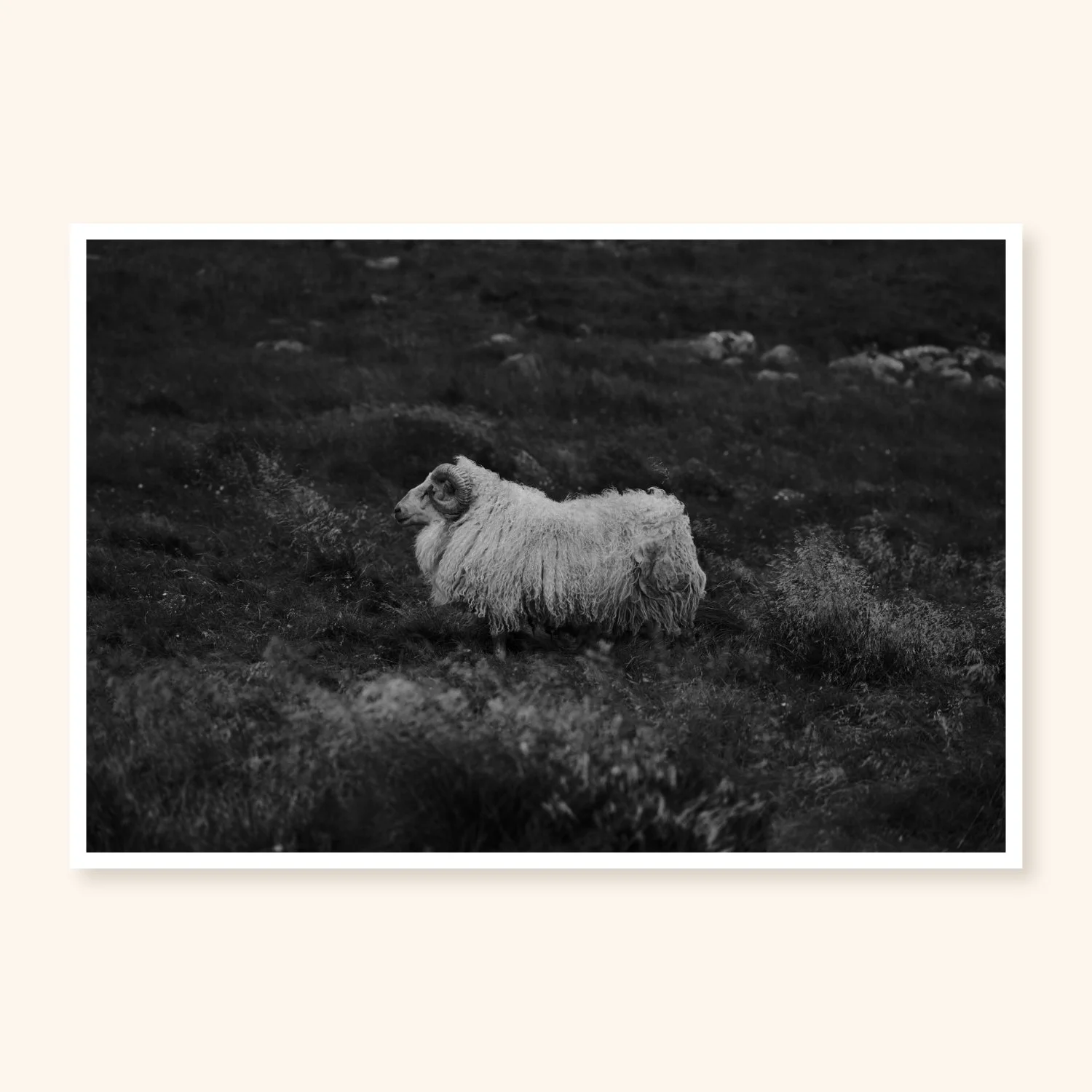 Skuggi – Iceland