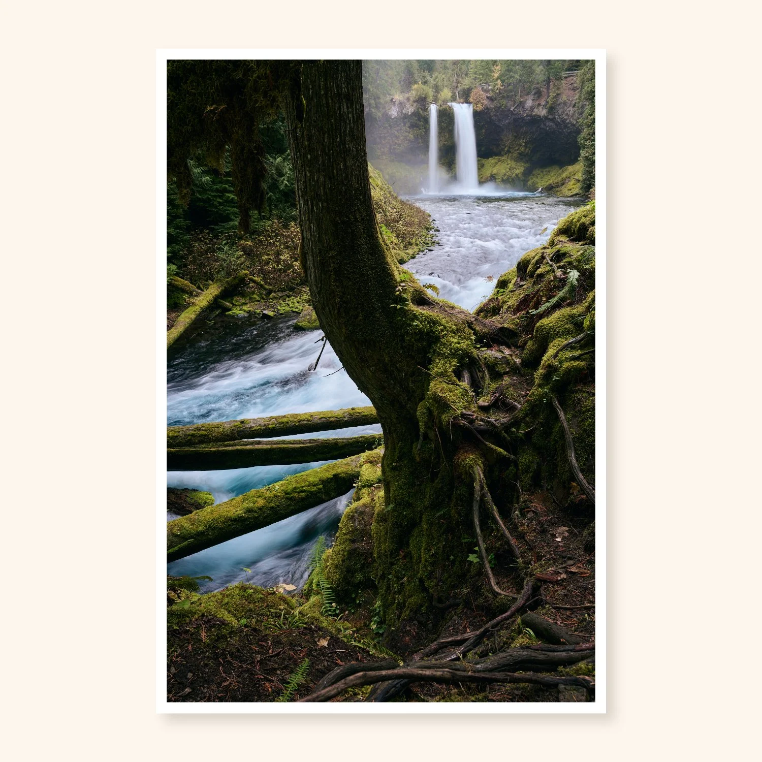 Koosah – Oregon