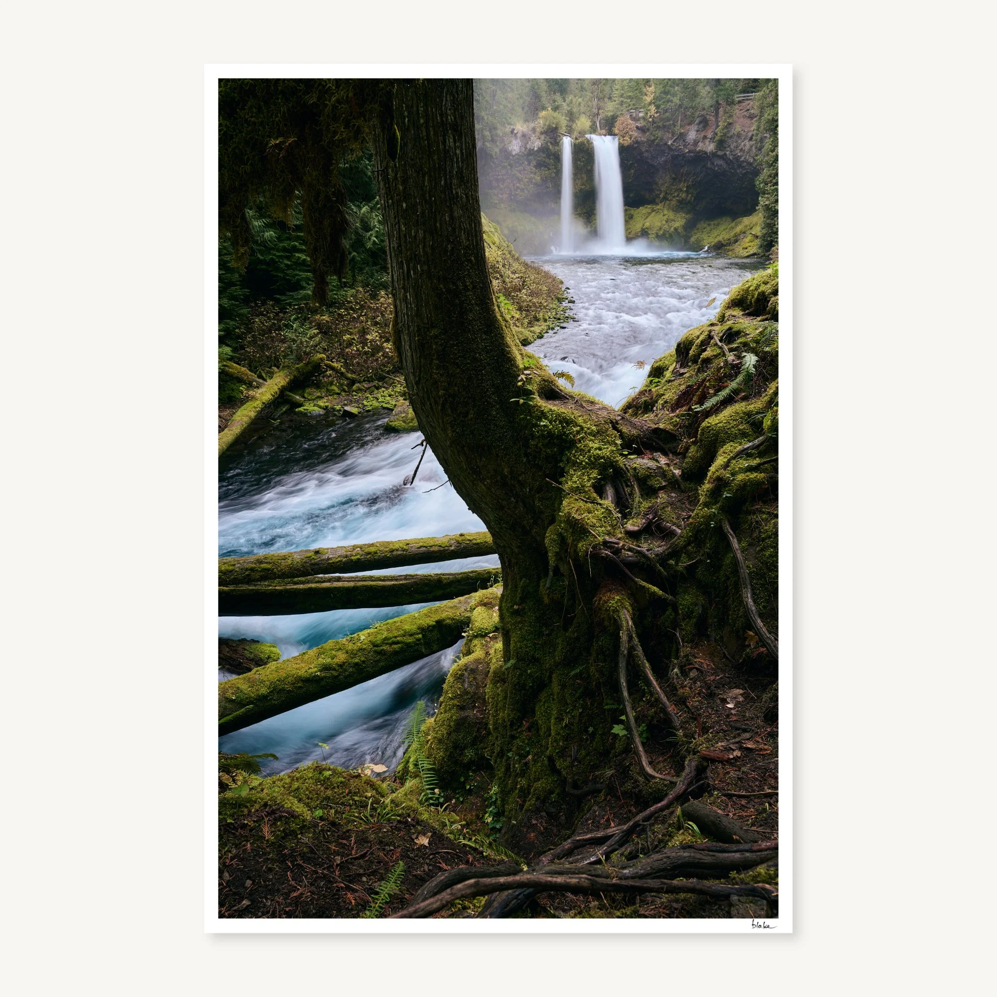 Koosah – Oregon
