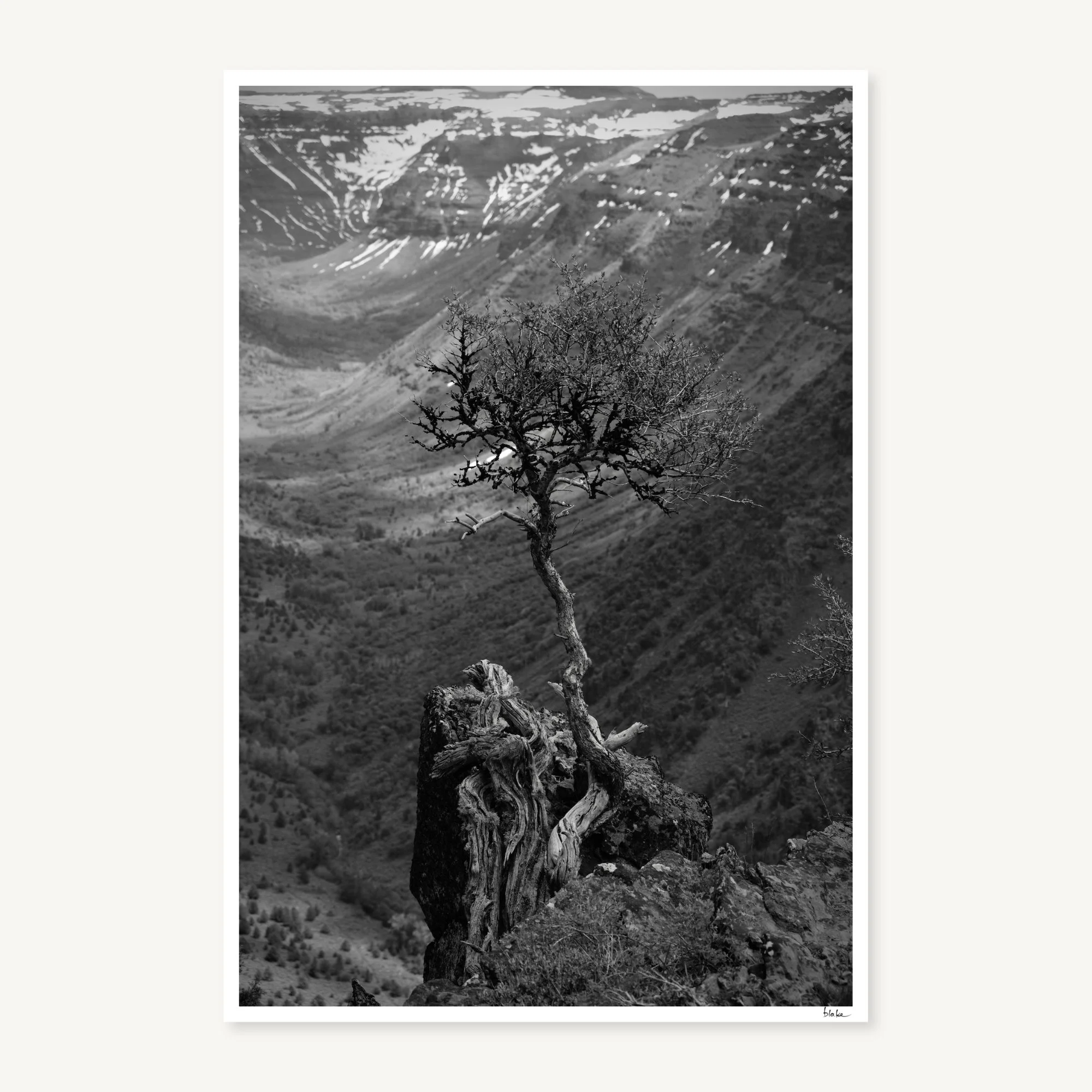 Lone Tree — Oregon; Steens Mountain, Oregon; Blake Robertshaw, 2020 | Fine Art Print | Fujifilm.jpg