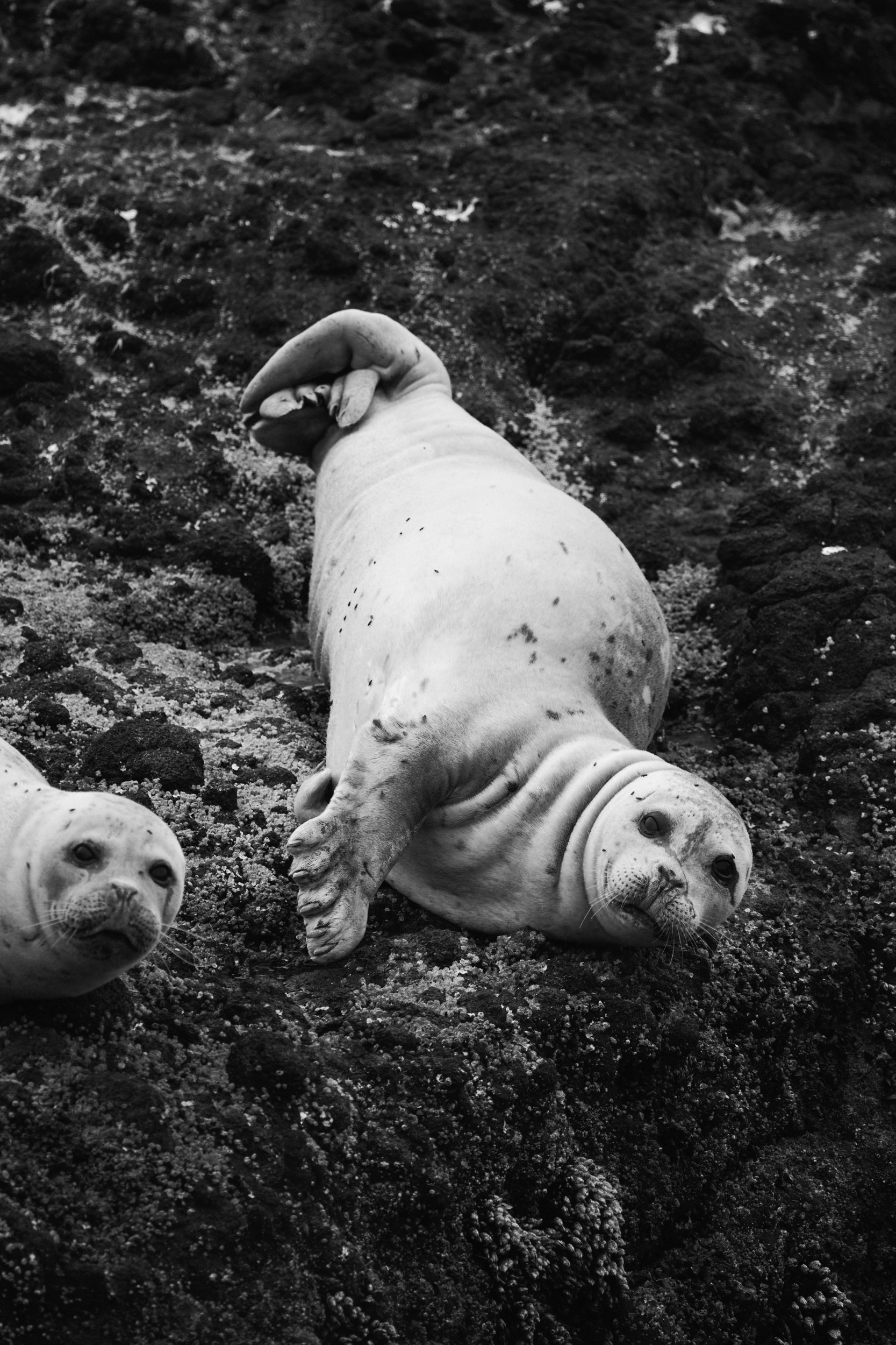 Gallery of landscape and wildlife photography.