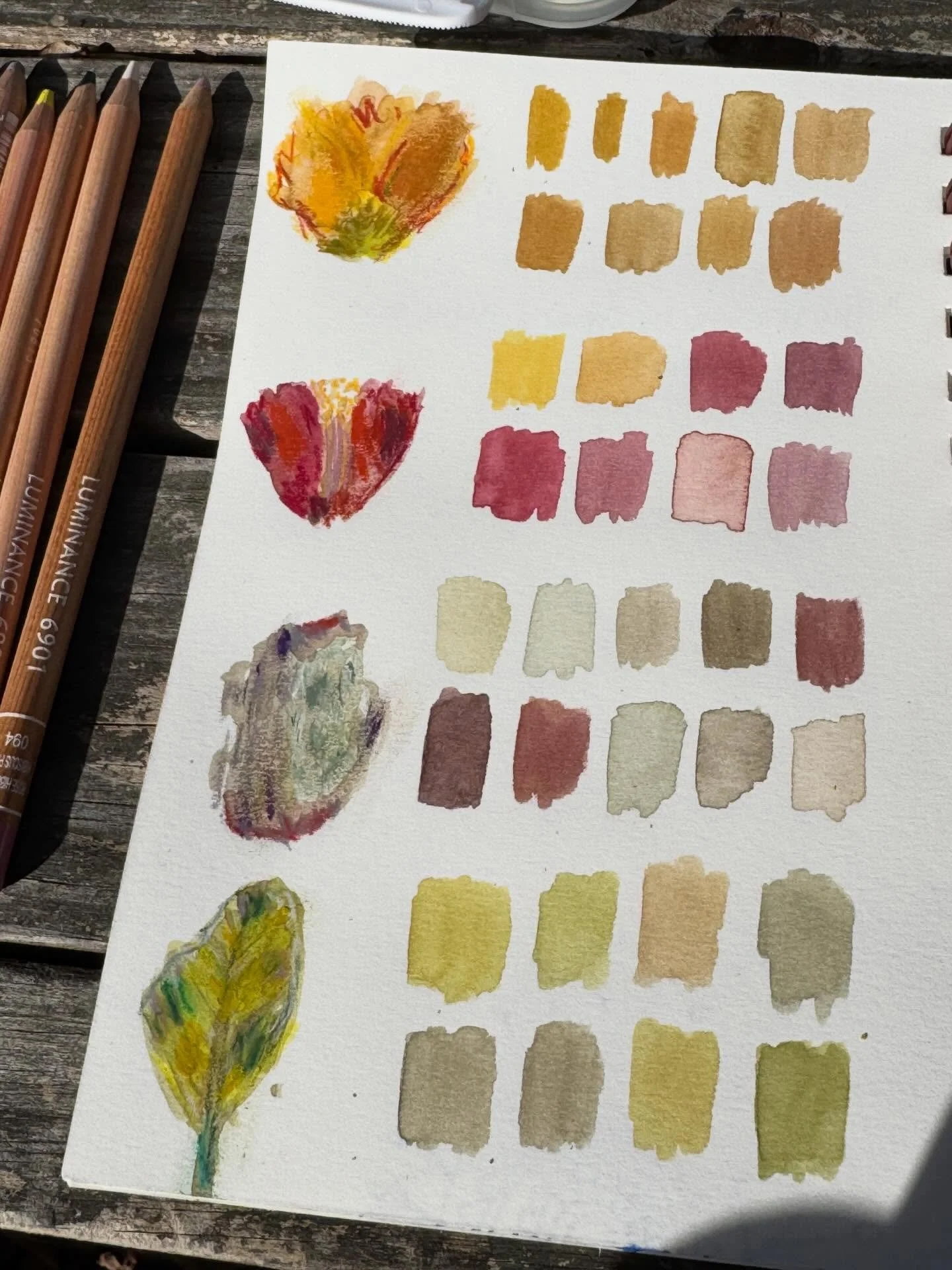 Spent a lovely Valentine&rsquo;s Day doing yoga, having lunch with friends, and creating a bit of art in Kalmia Gardens 😊