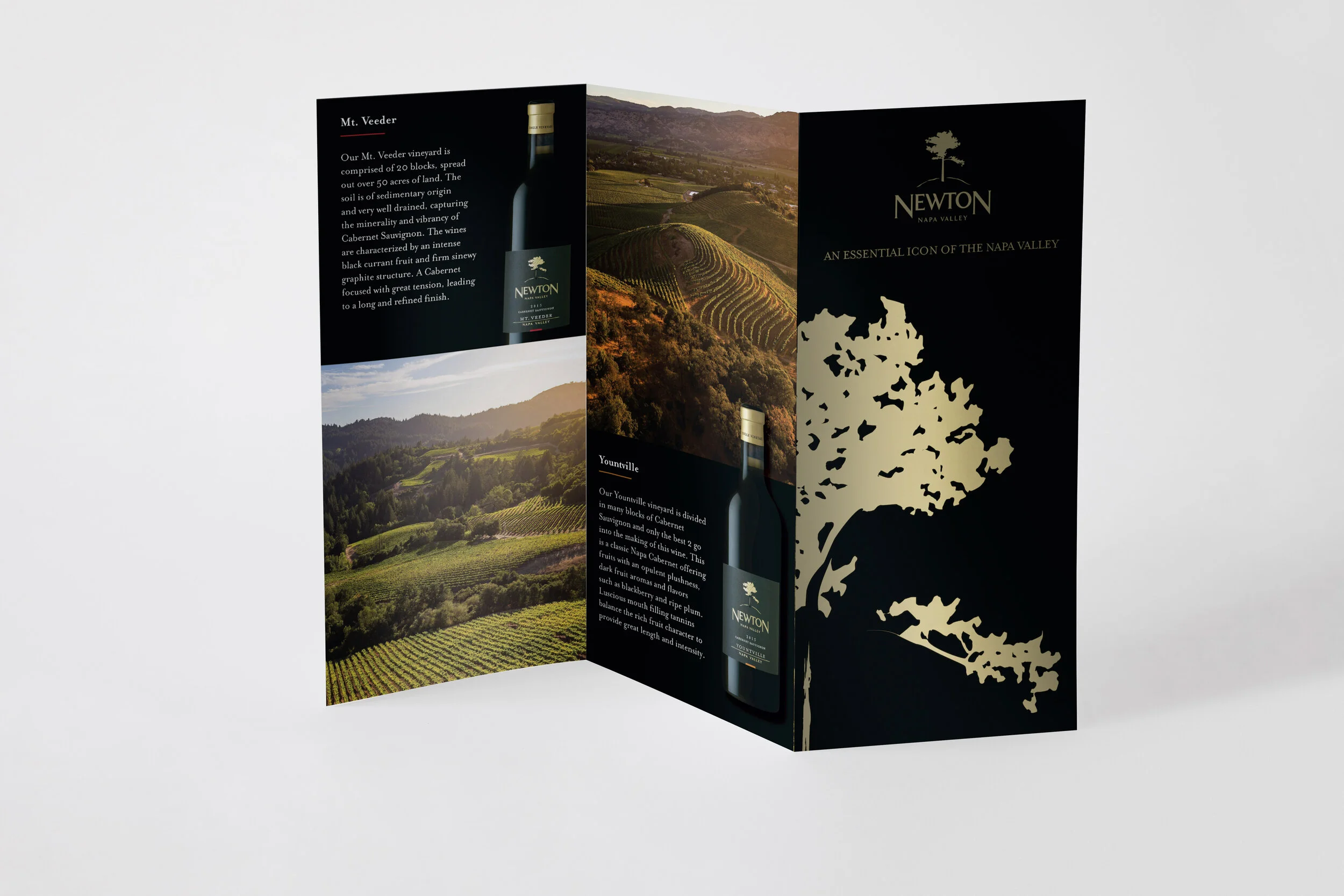newton_tri-brochure-website.jpg