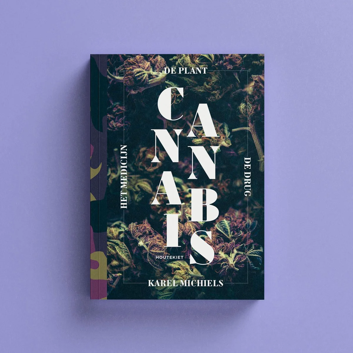 Cannabis-Karel-Michiels-paars.jpg